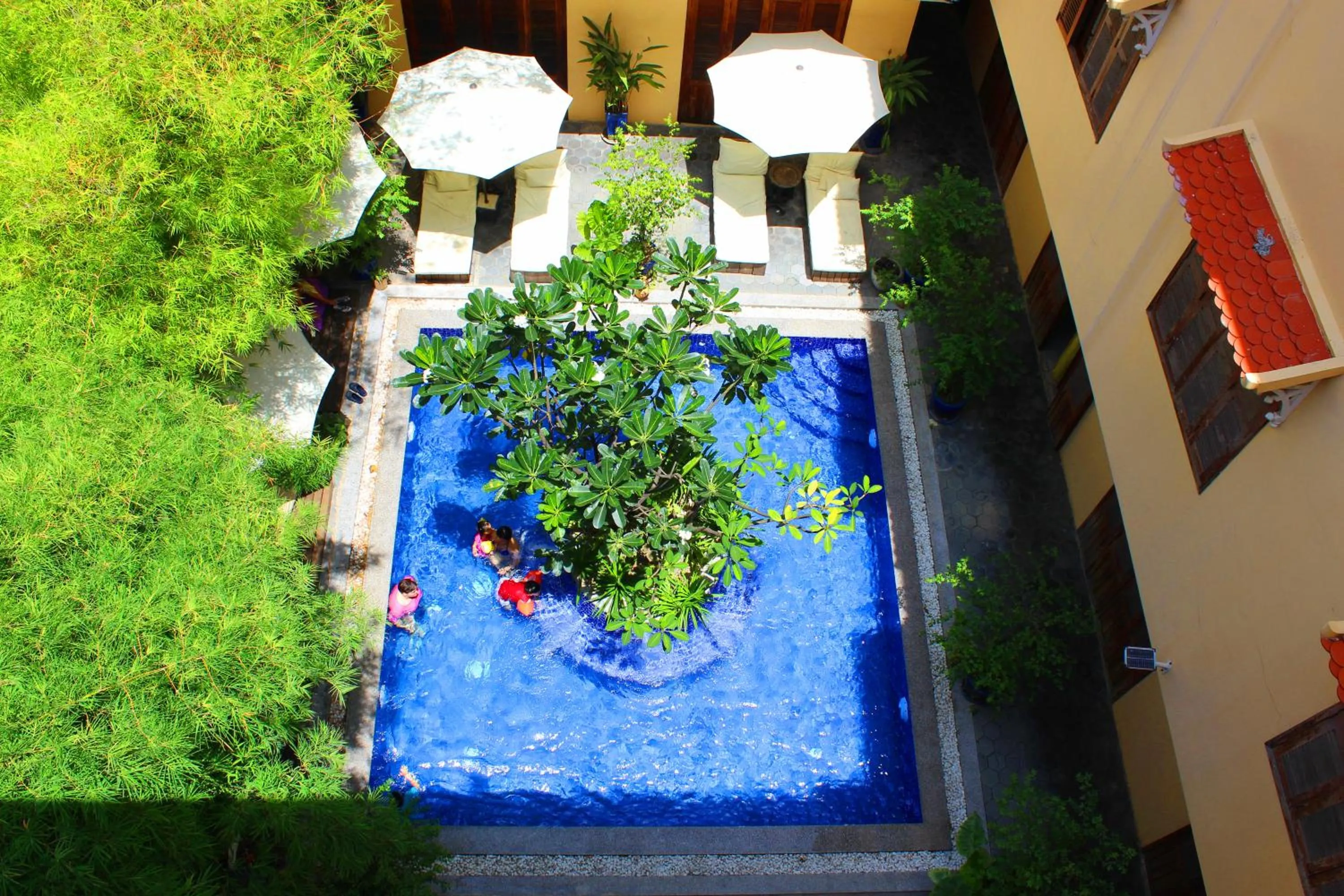 Swimming pool in House Boutique Eco Hotel