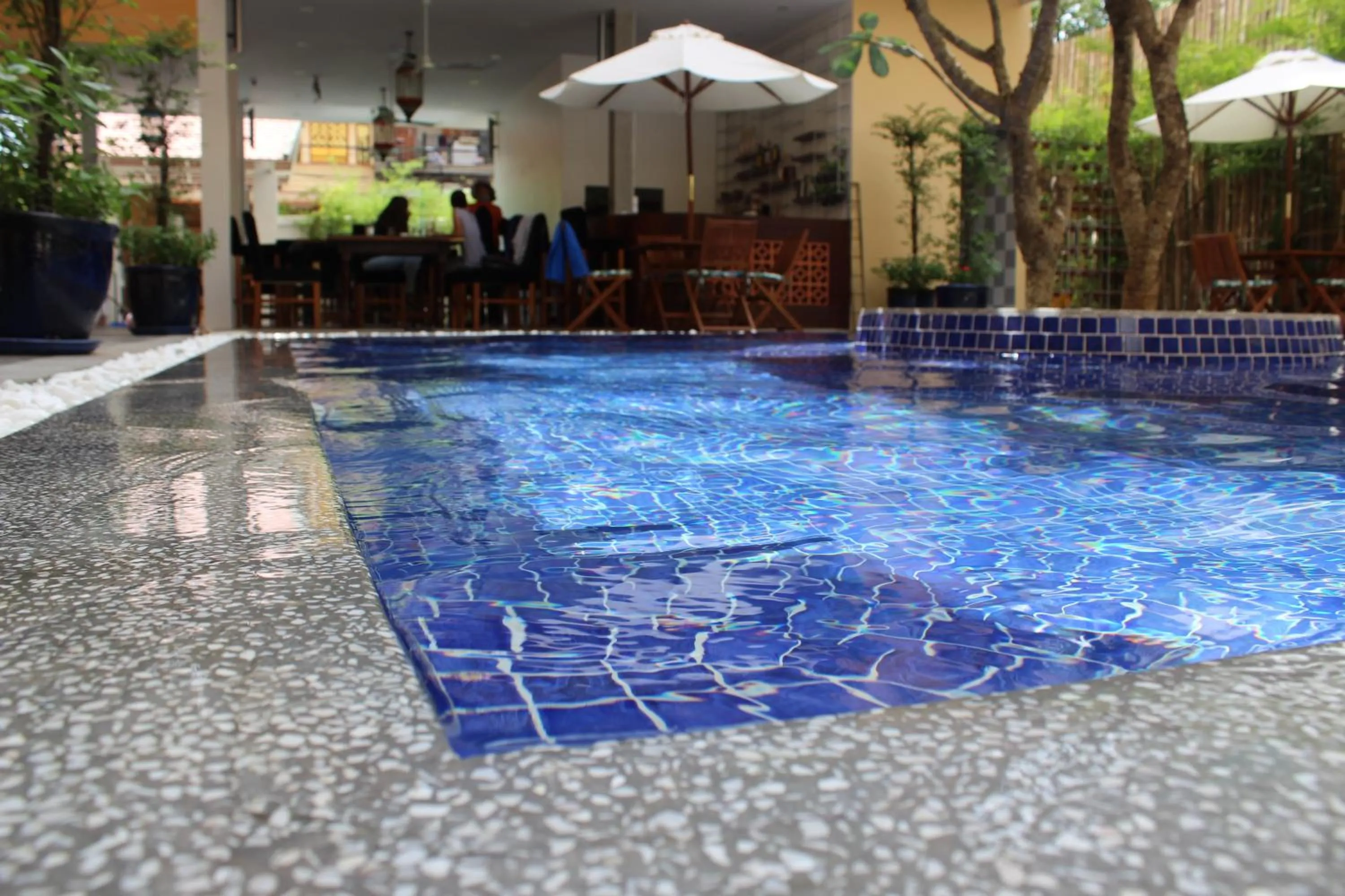 Swimming pool in House Boutique Eco Hotel