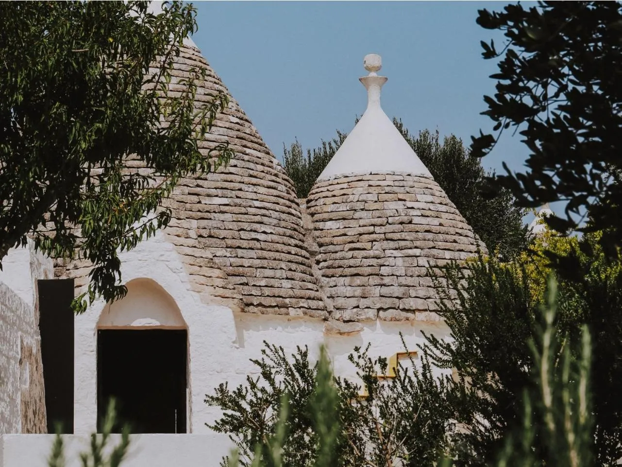 Cocotrullo