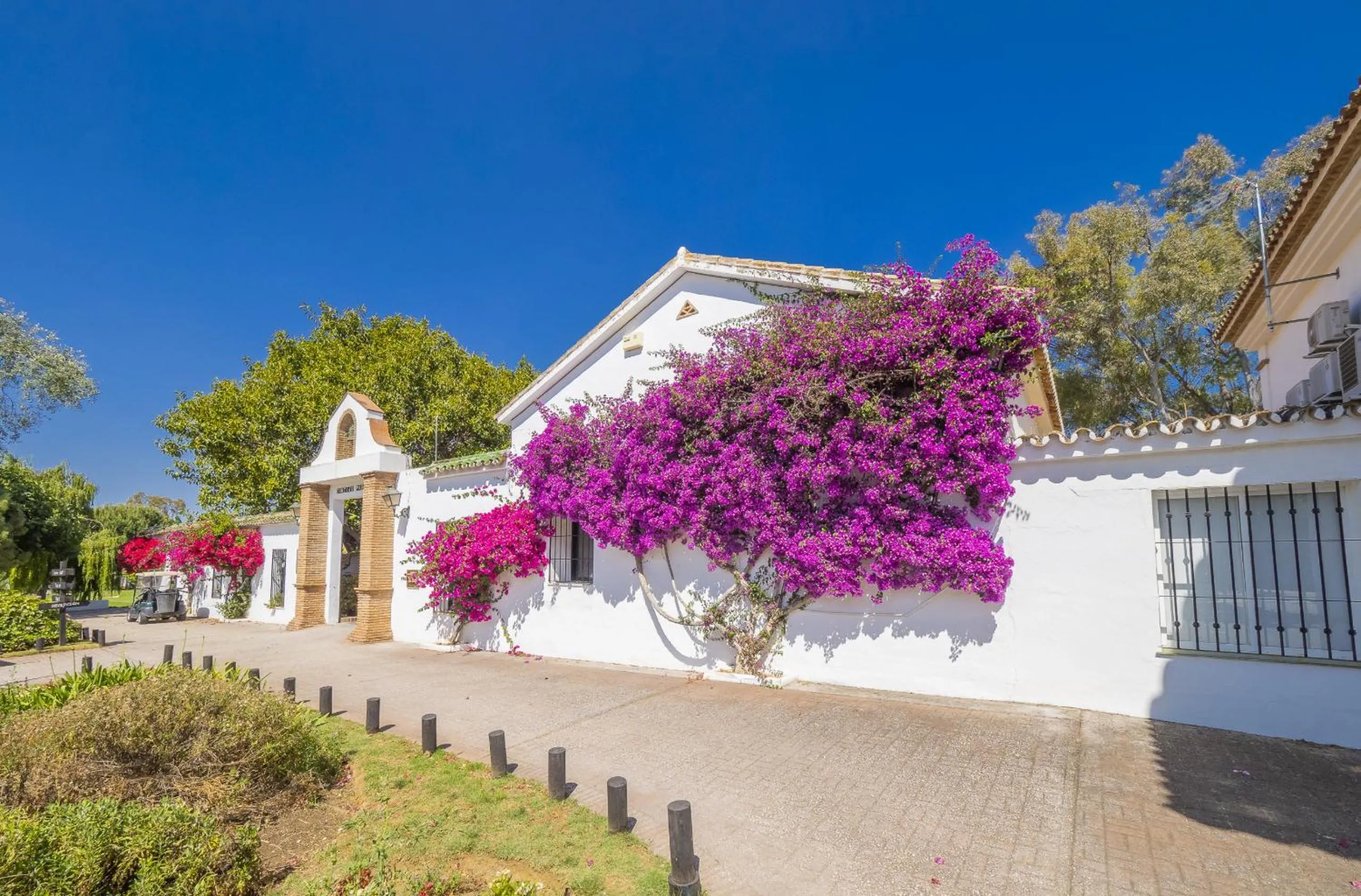 Off site in Cubo's Finca el Nogal