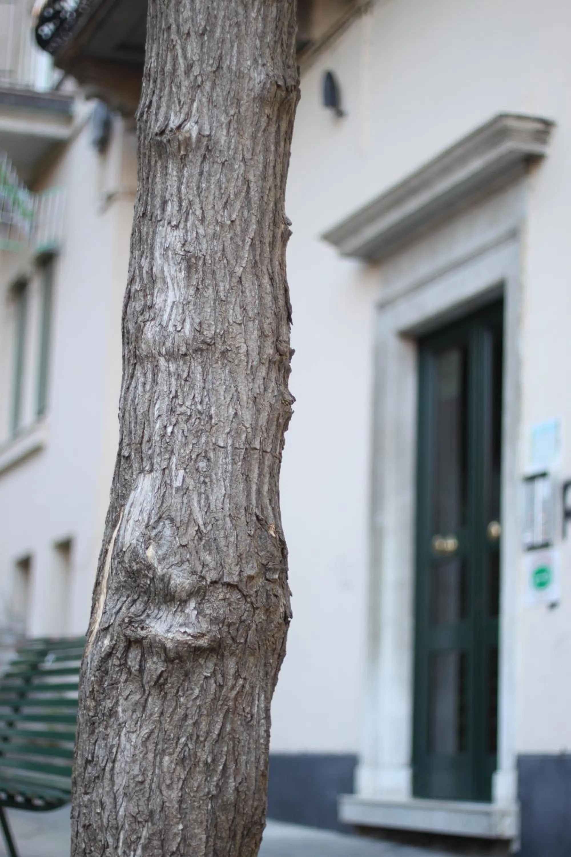 Property building in B&B Cernaia 42