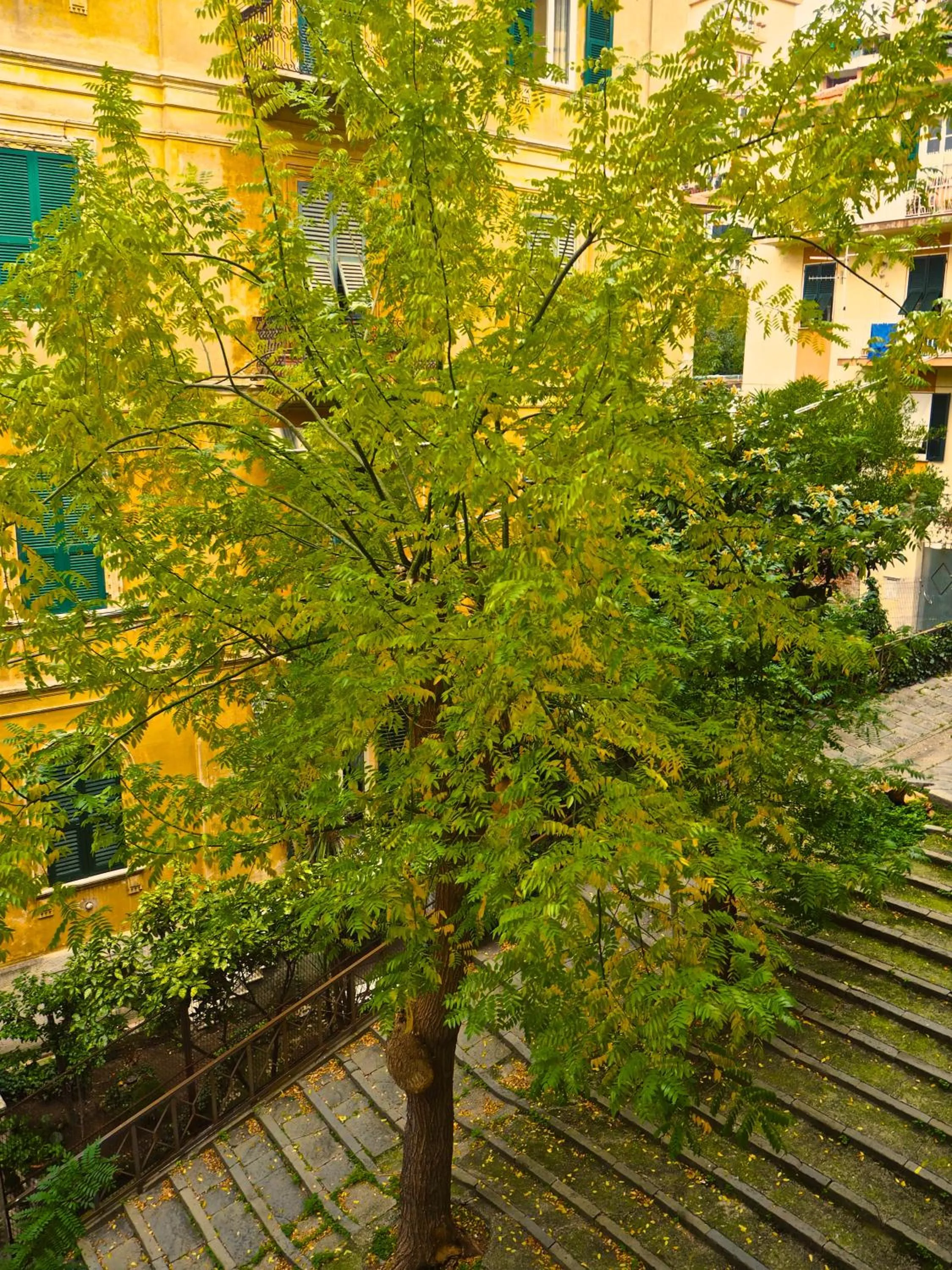 Day in B&B Cernaia 42