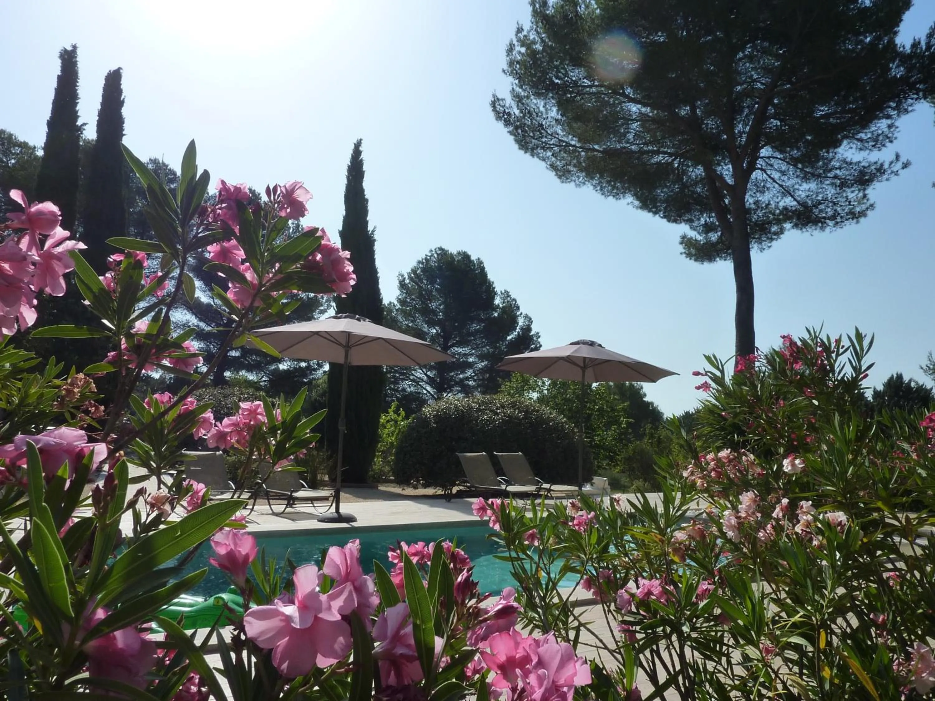 Swimming pool in Les Mazets du Luberon