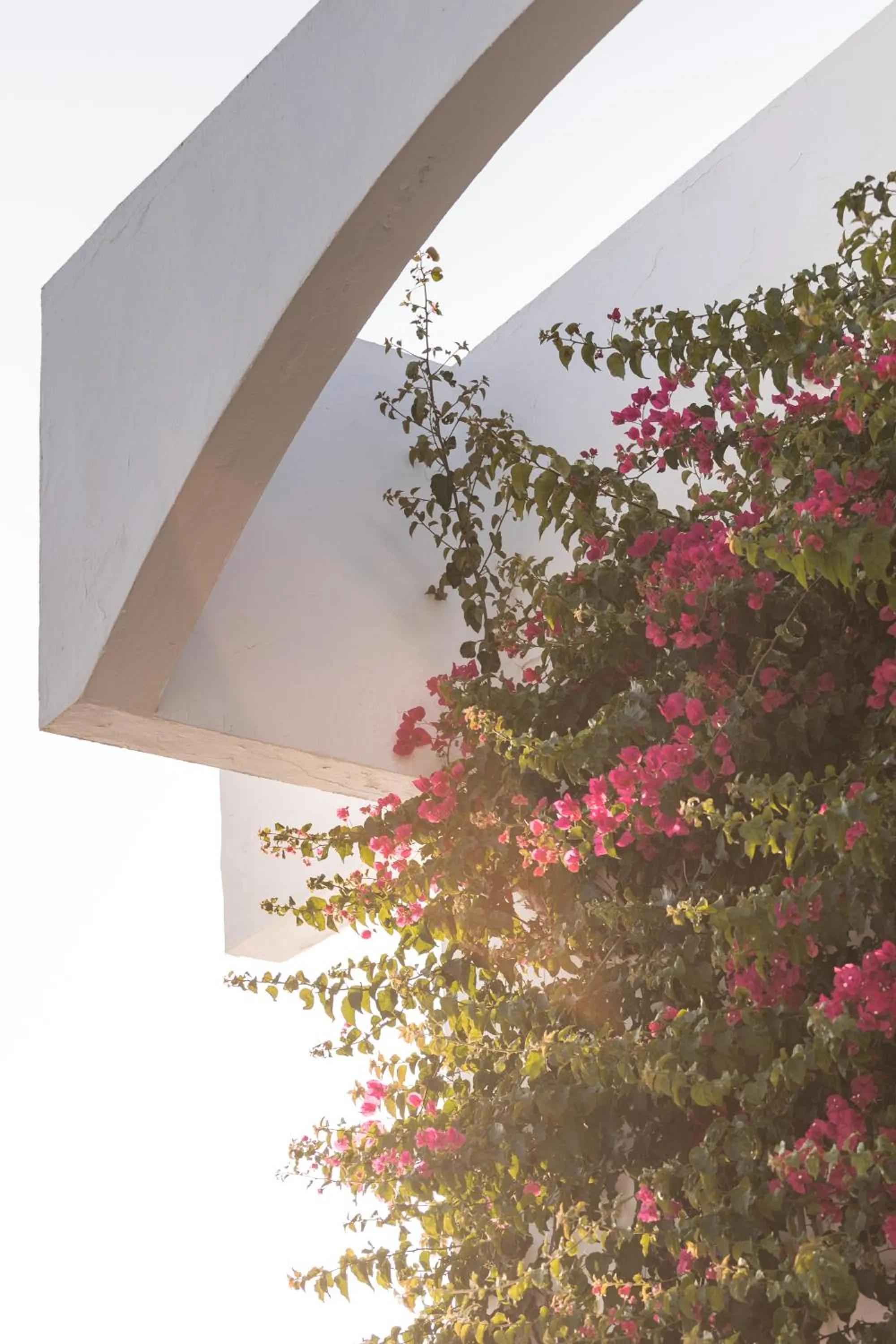 Spring in Beach Club Menorca