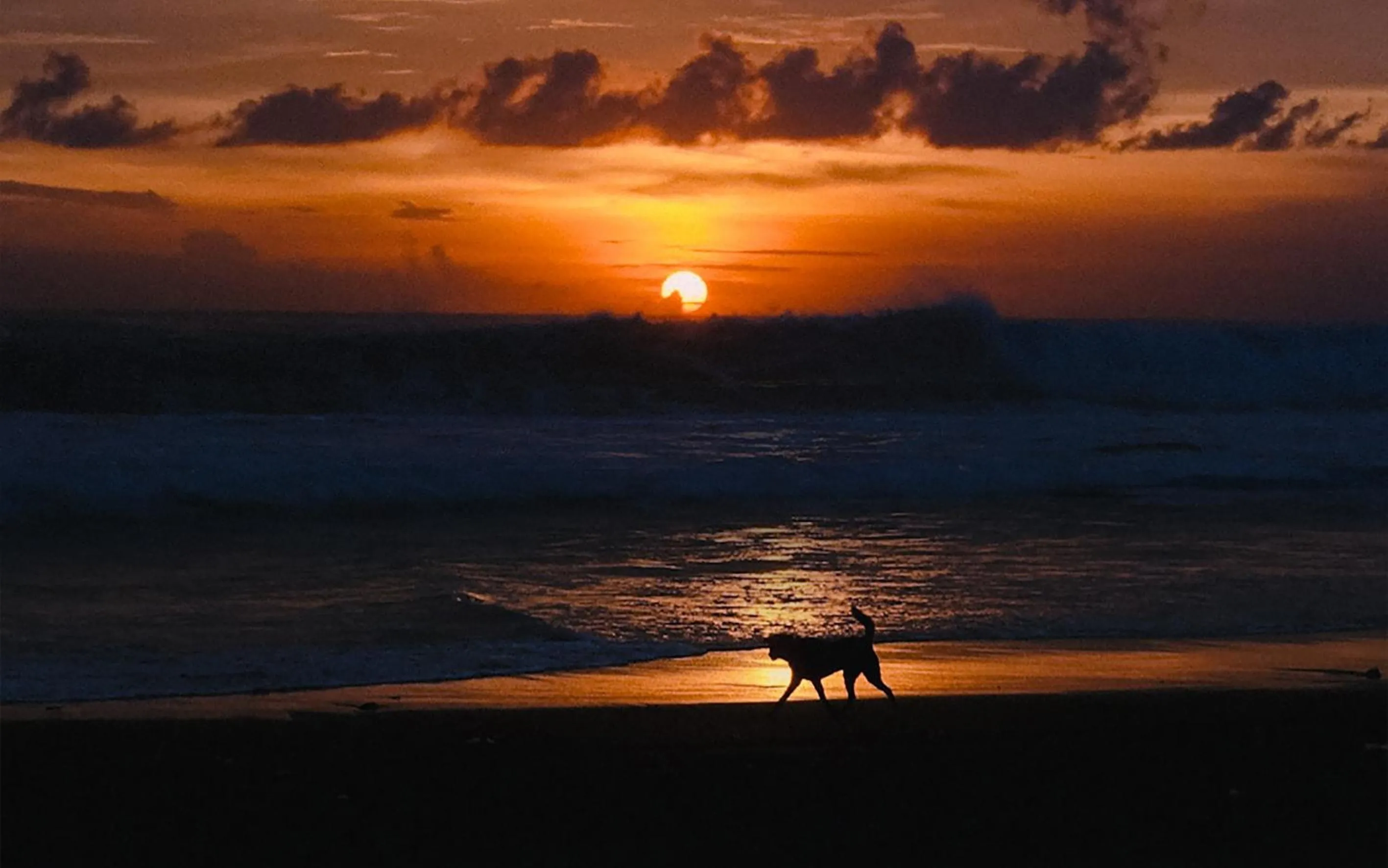 View (from property/room) in Noema Resort Pererenan