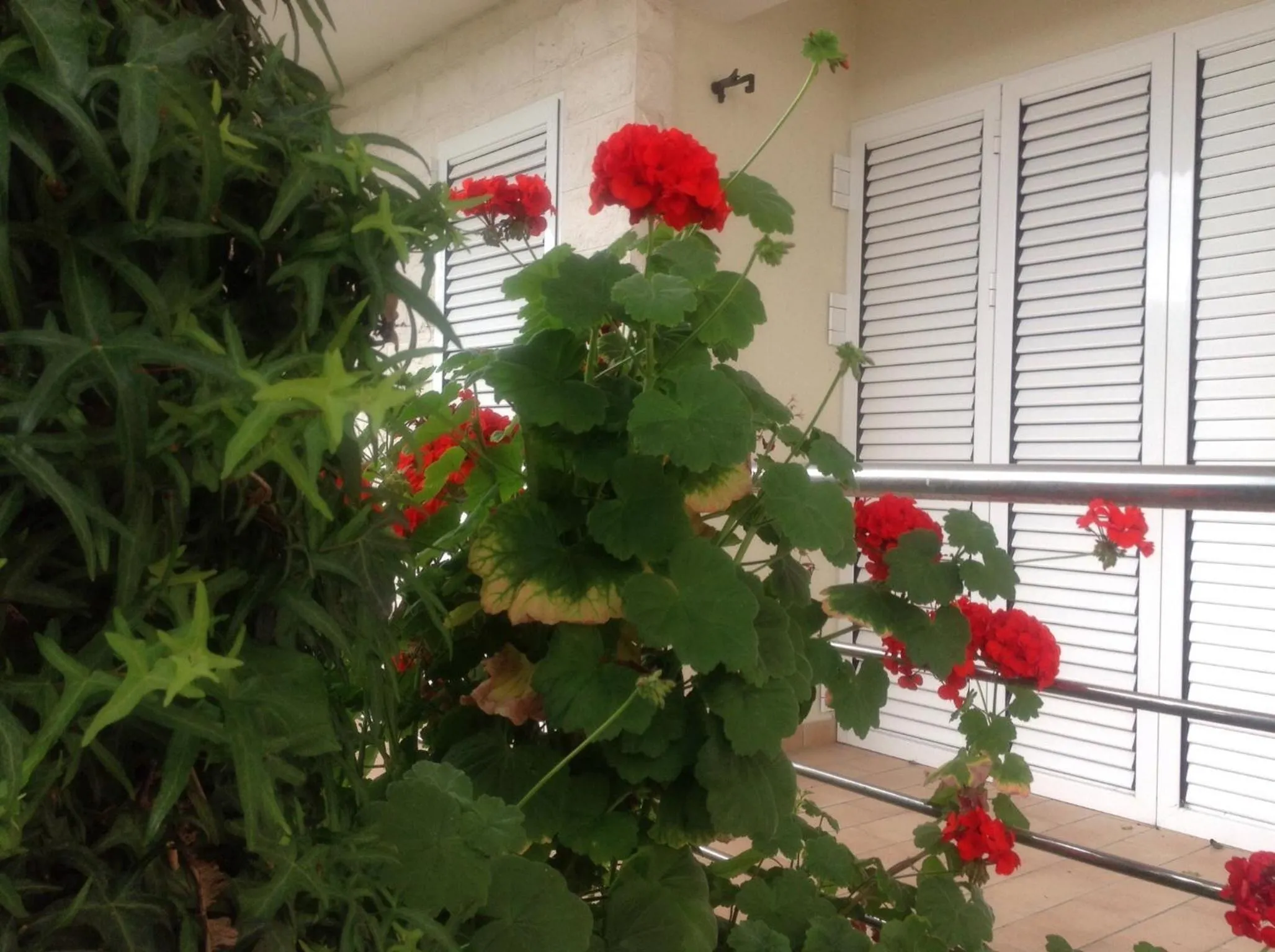 Other in Apartments Boka Residence