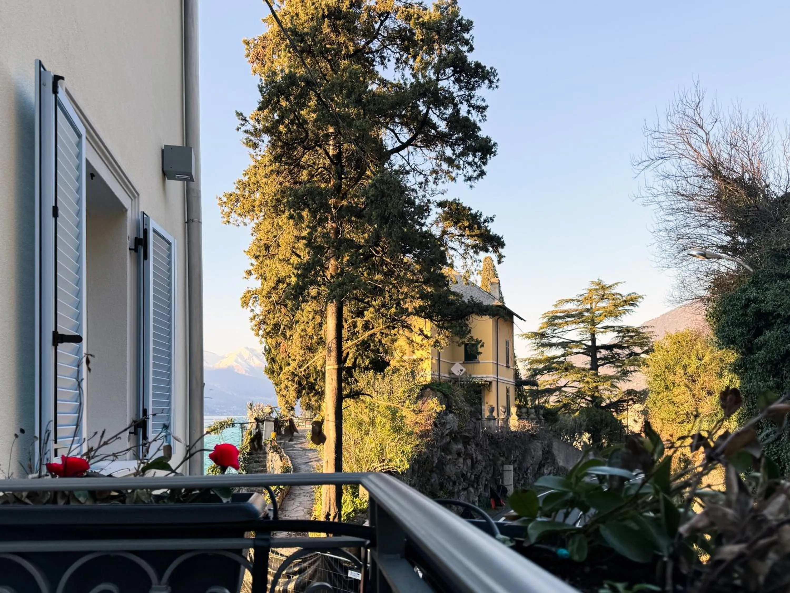 Garden view in Villa Rêverie - Boutique Hotel