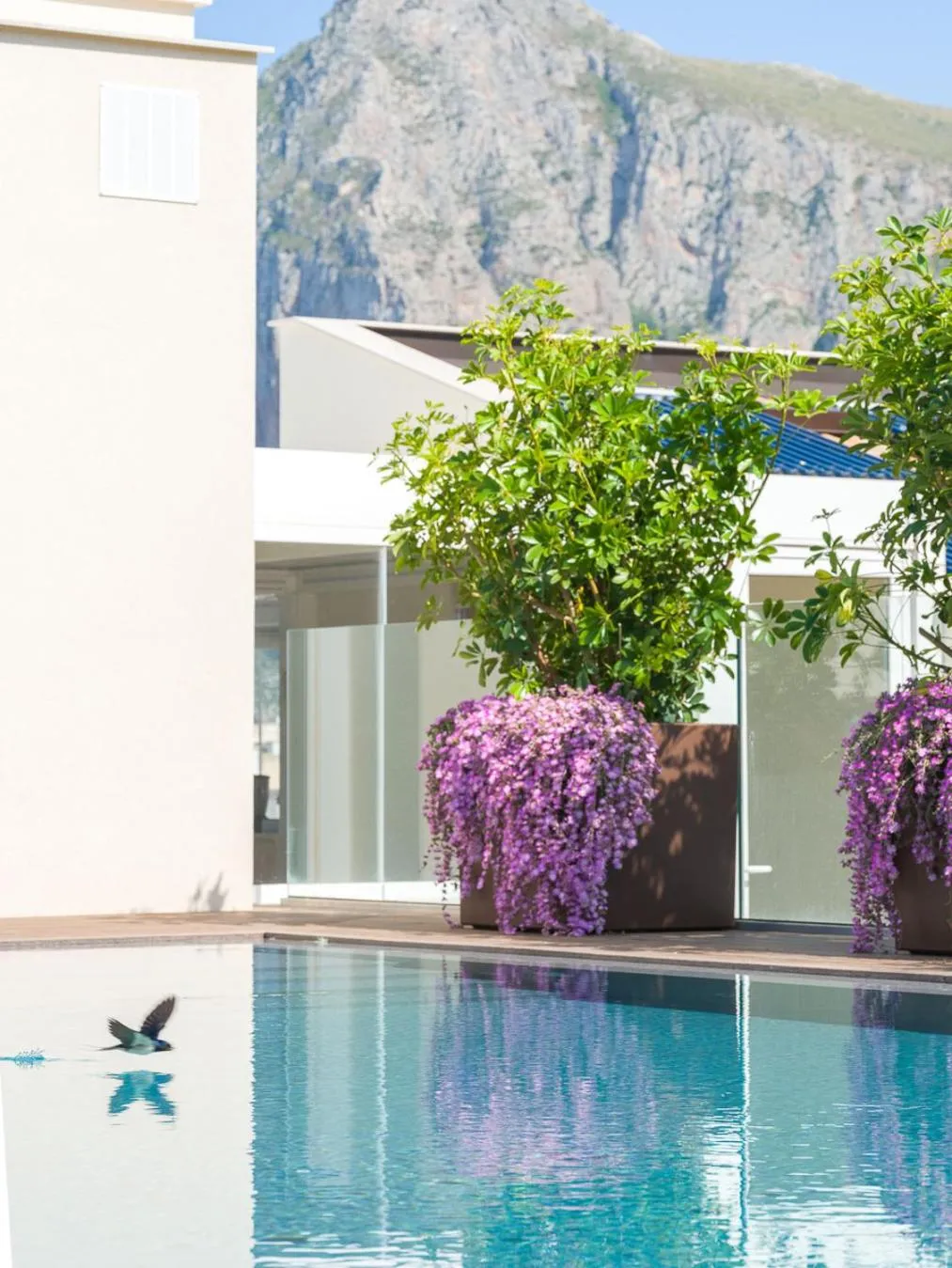 Garden view in San Vito Resort & Spa