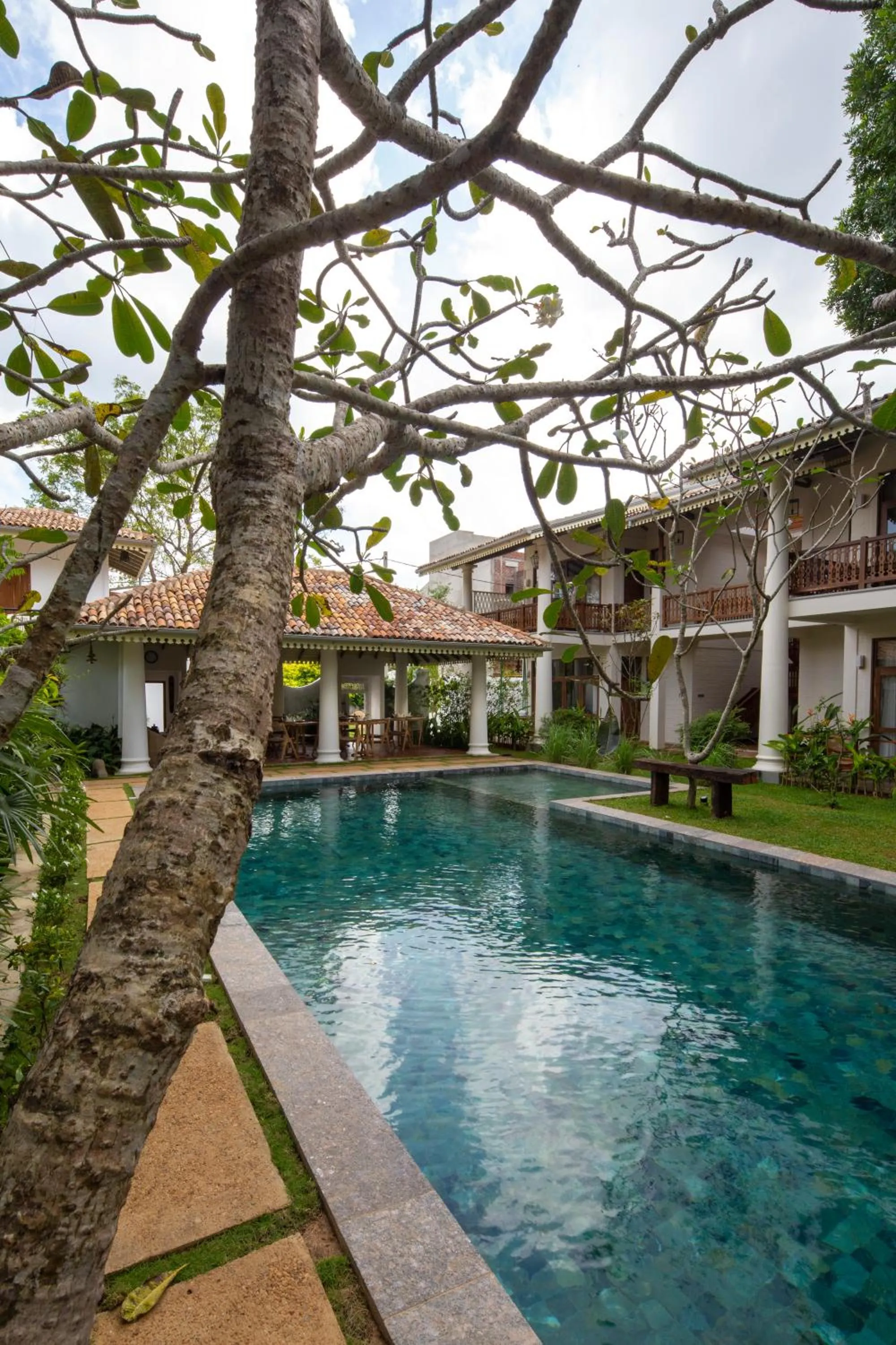 Swimming pool in Bilin Tree House