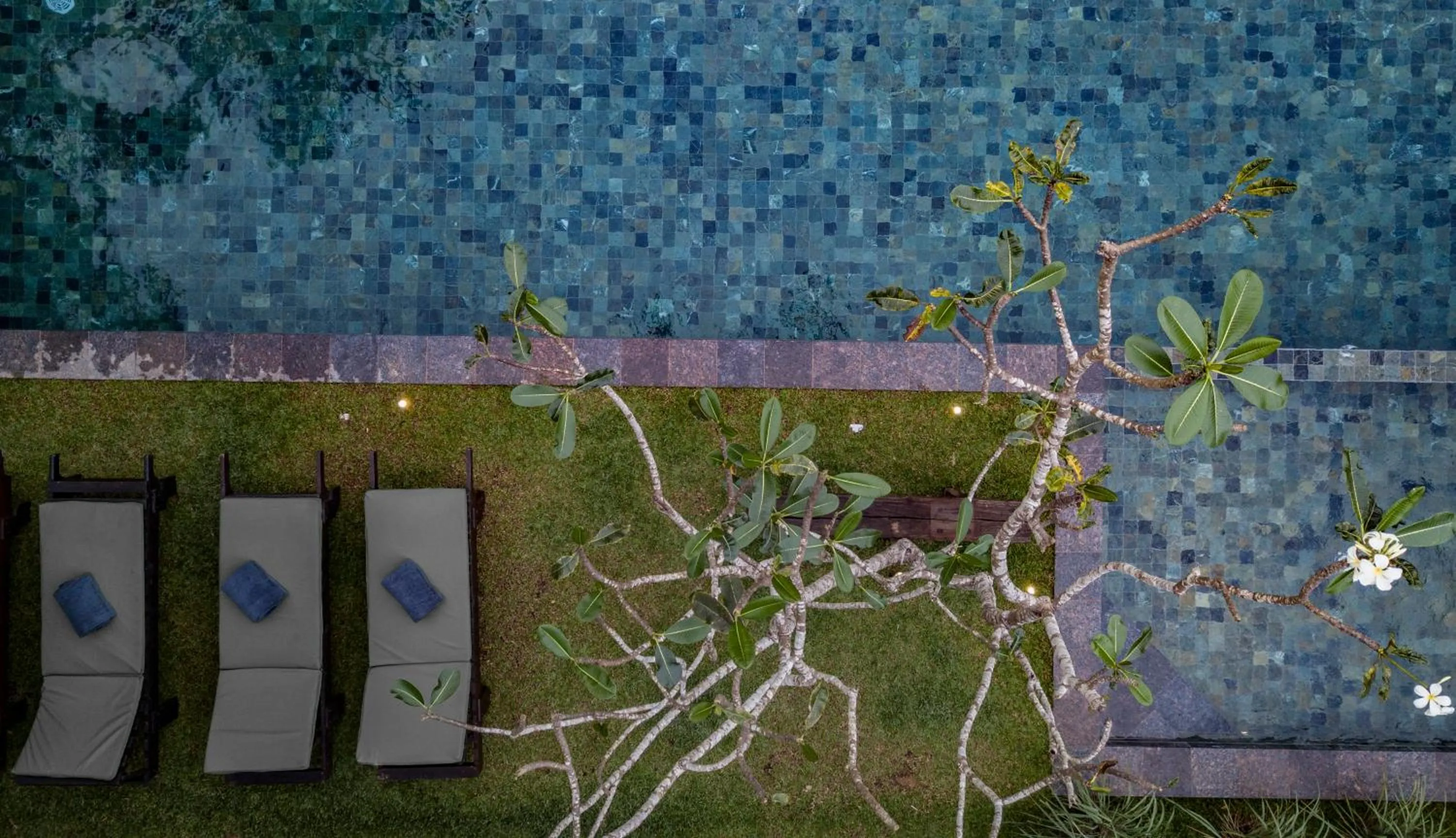 Bird's eye view in Bilin Tree House