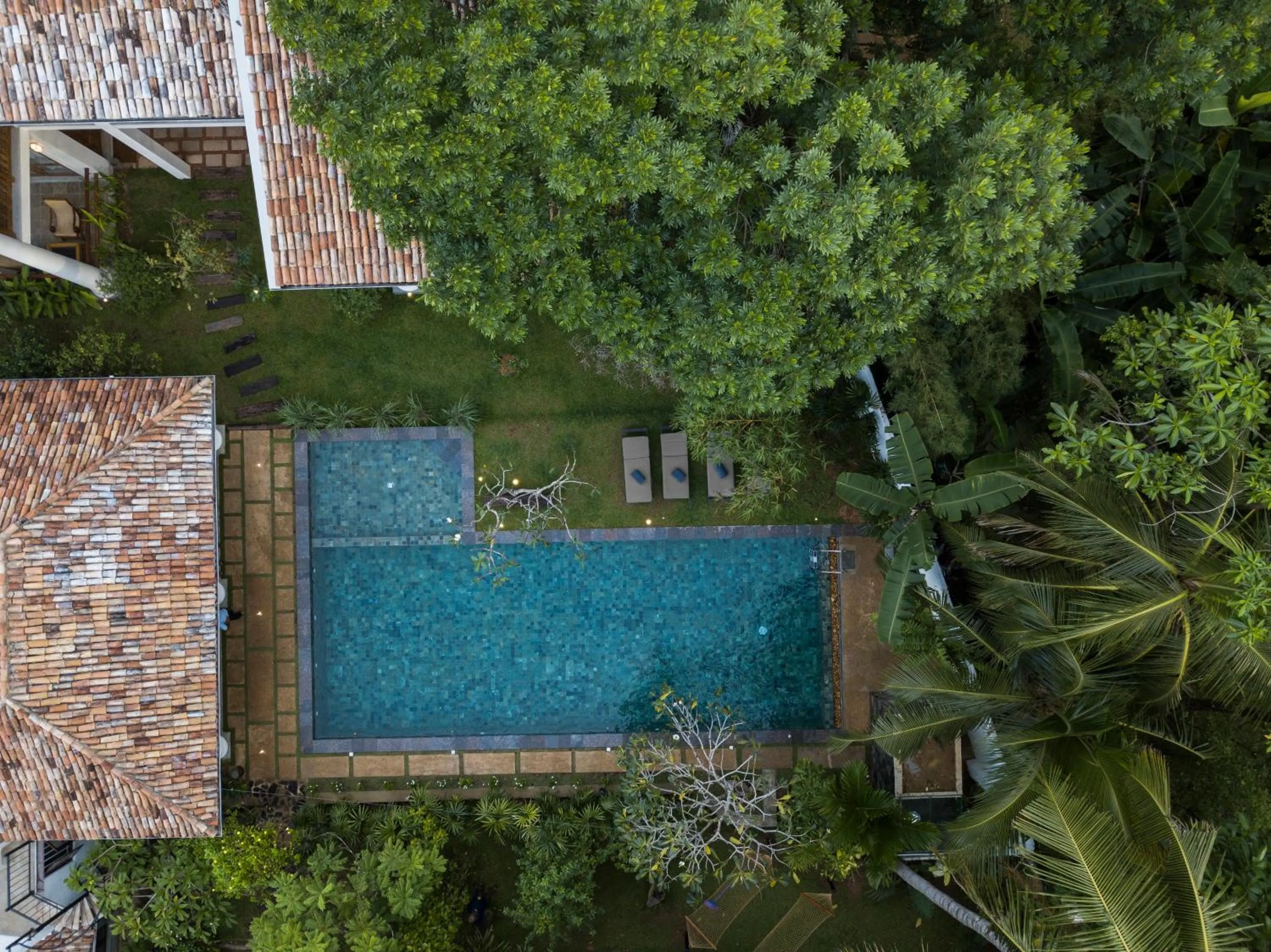 Bird's eye view in Bilin Tree House