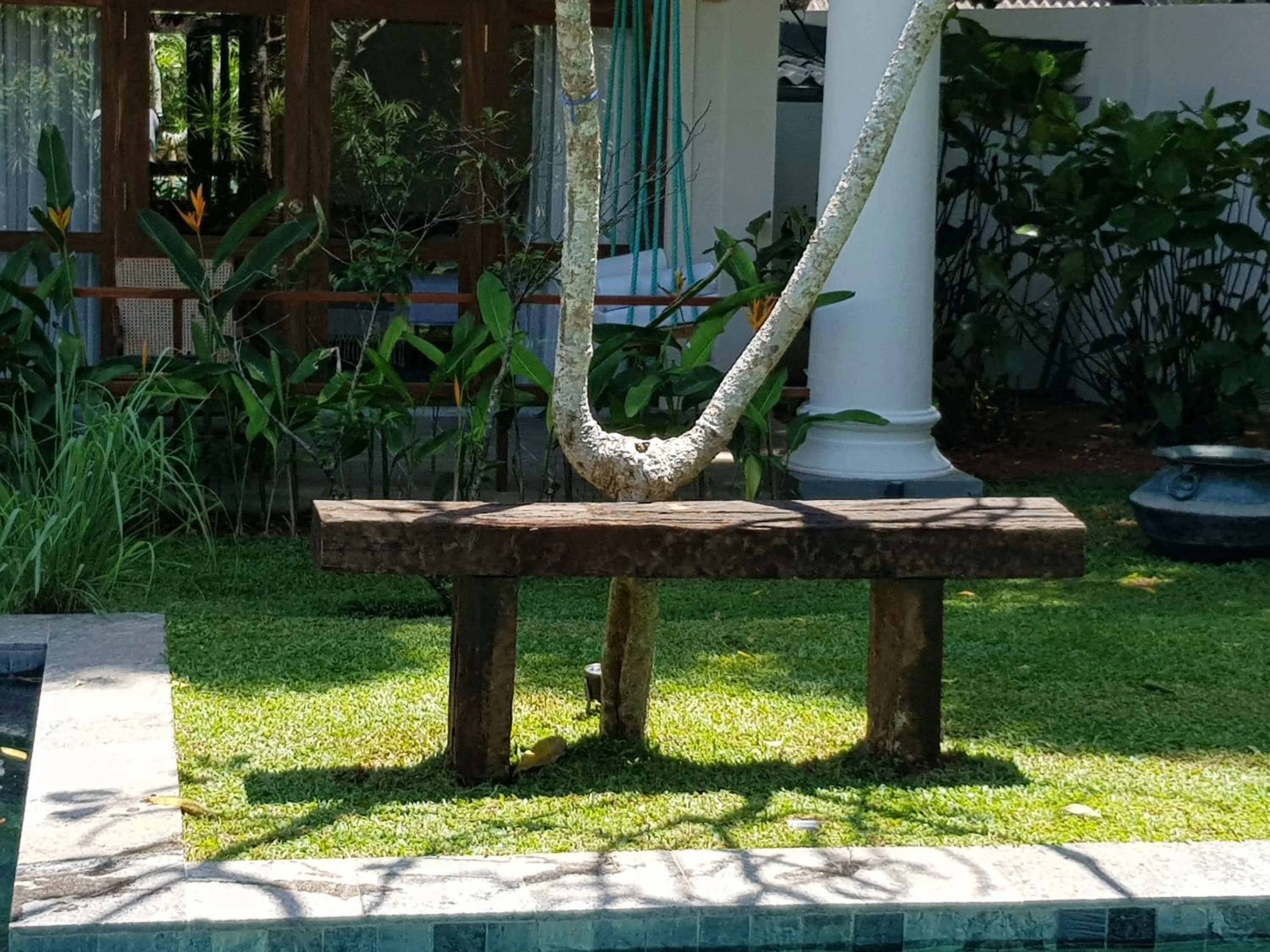 Garden in Bilin Tree House