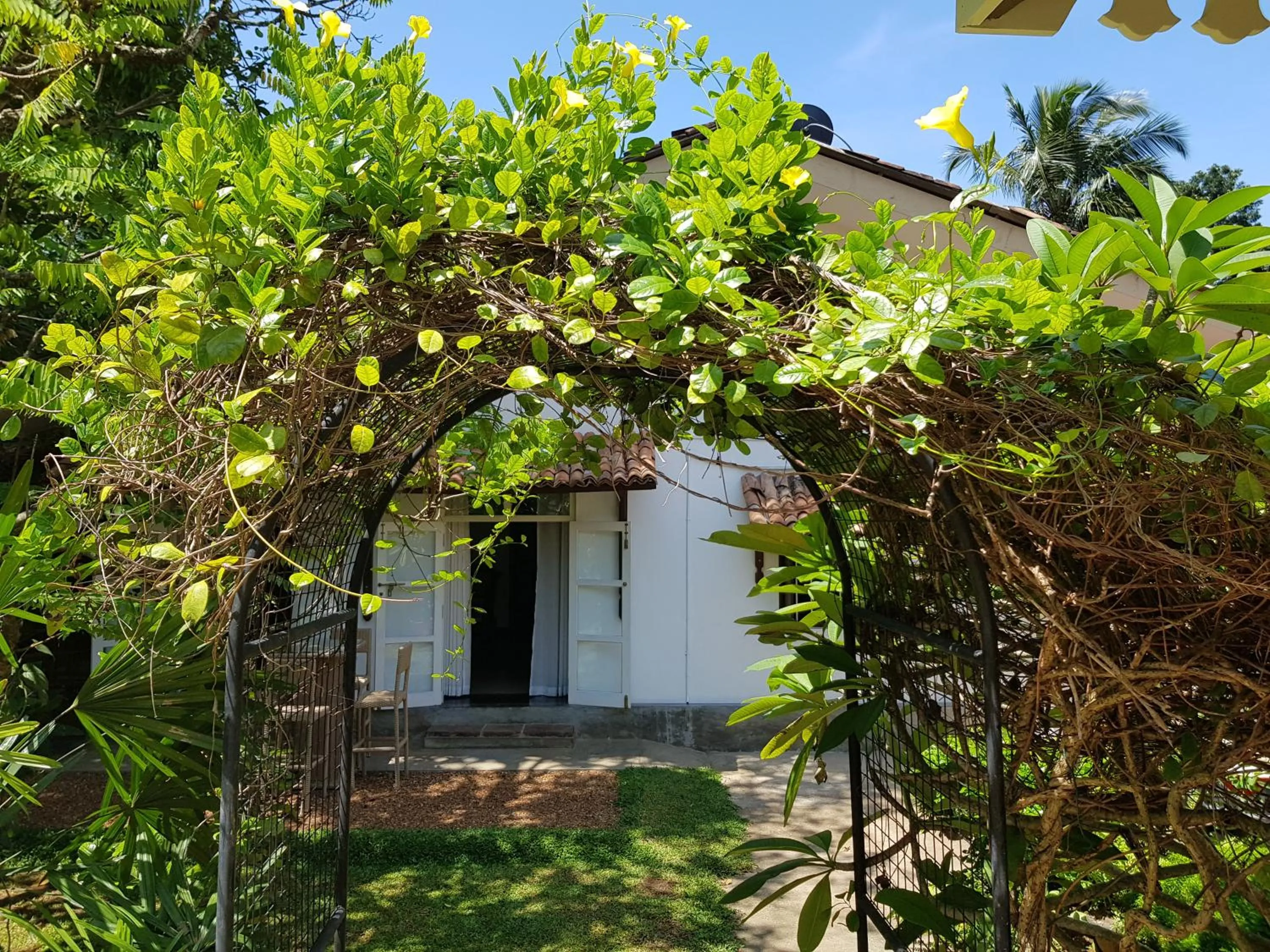 Garden in Bilin Tree House