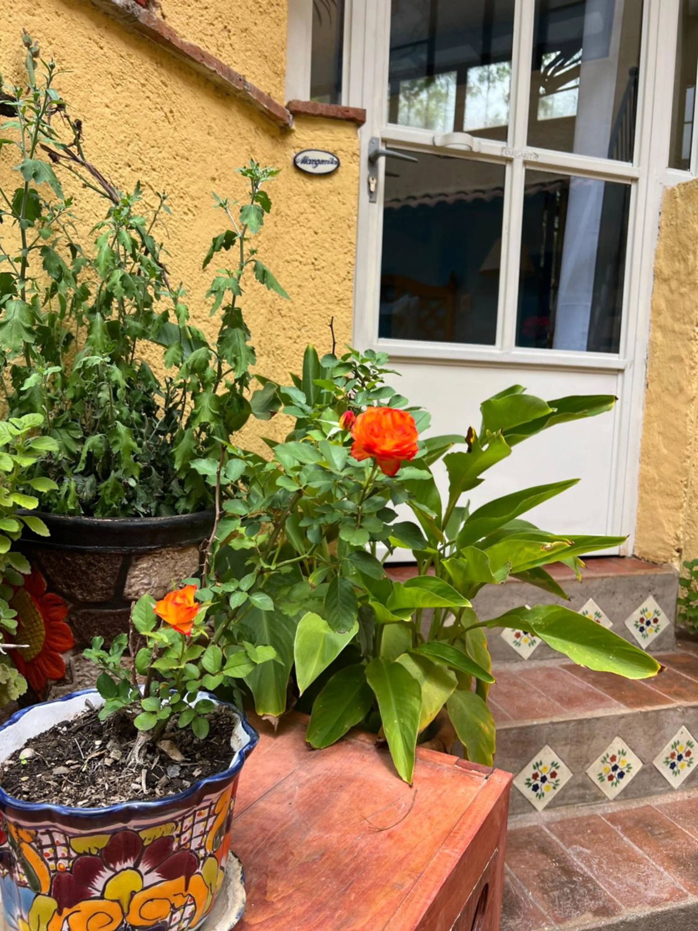 Day in Casa Contenta