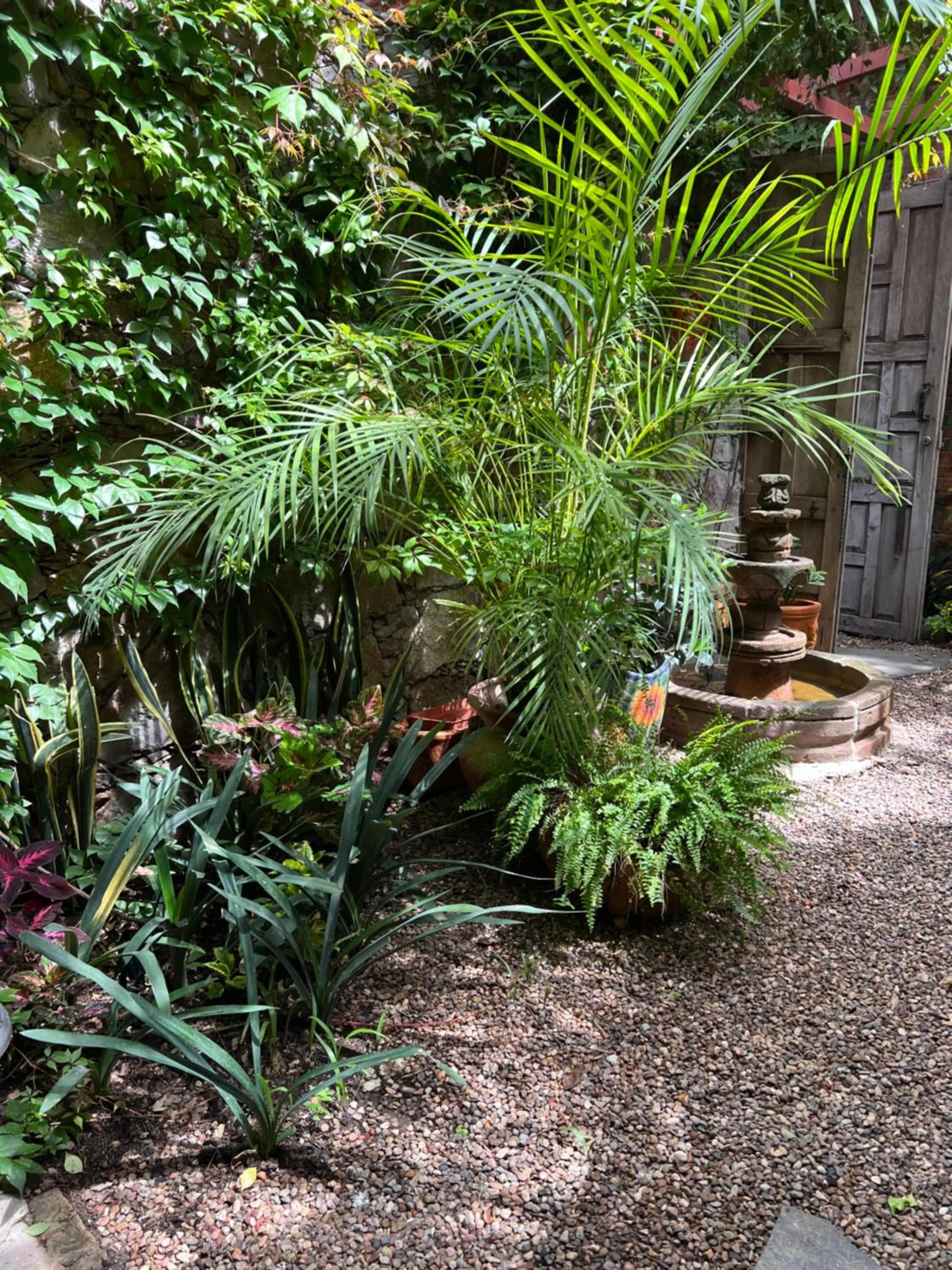 Day in Casa Contenta