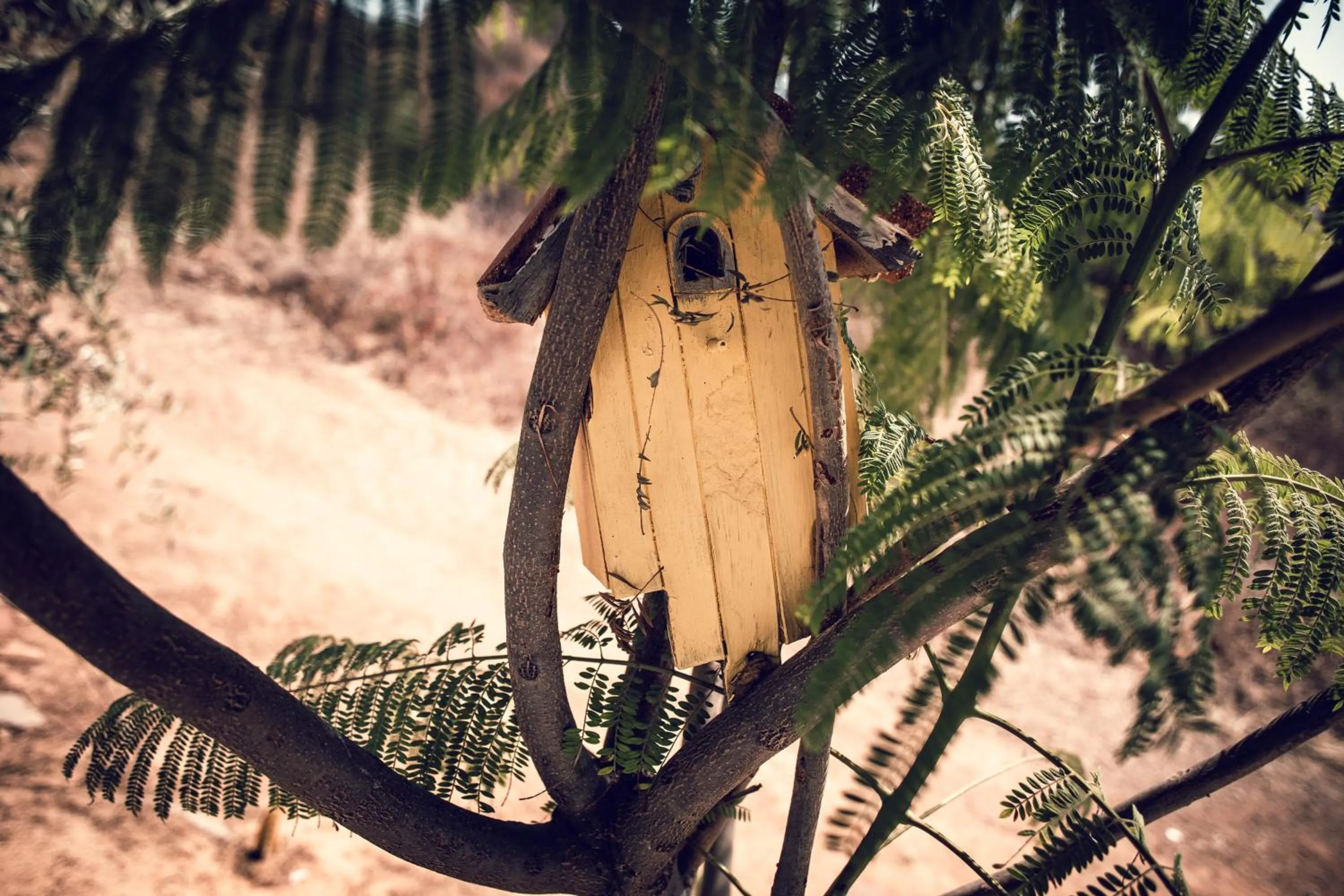 Off site in Posada San Antonio