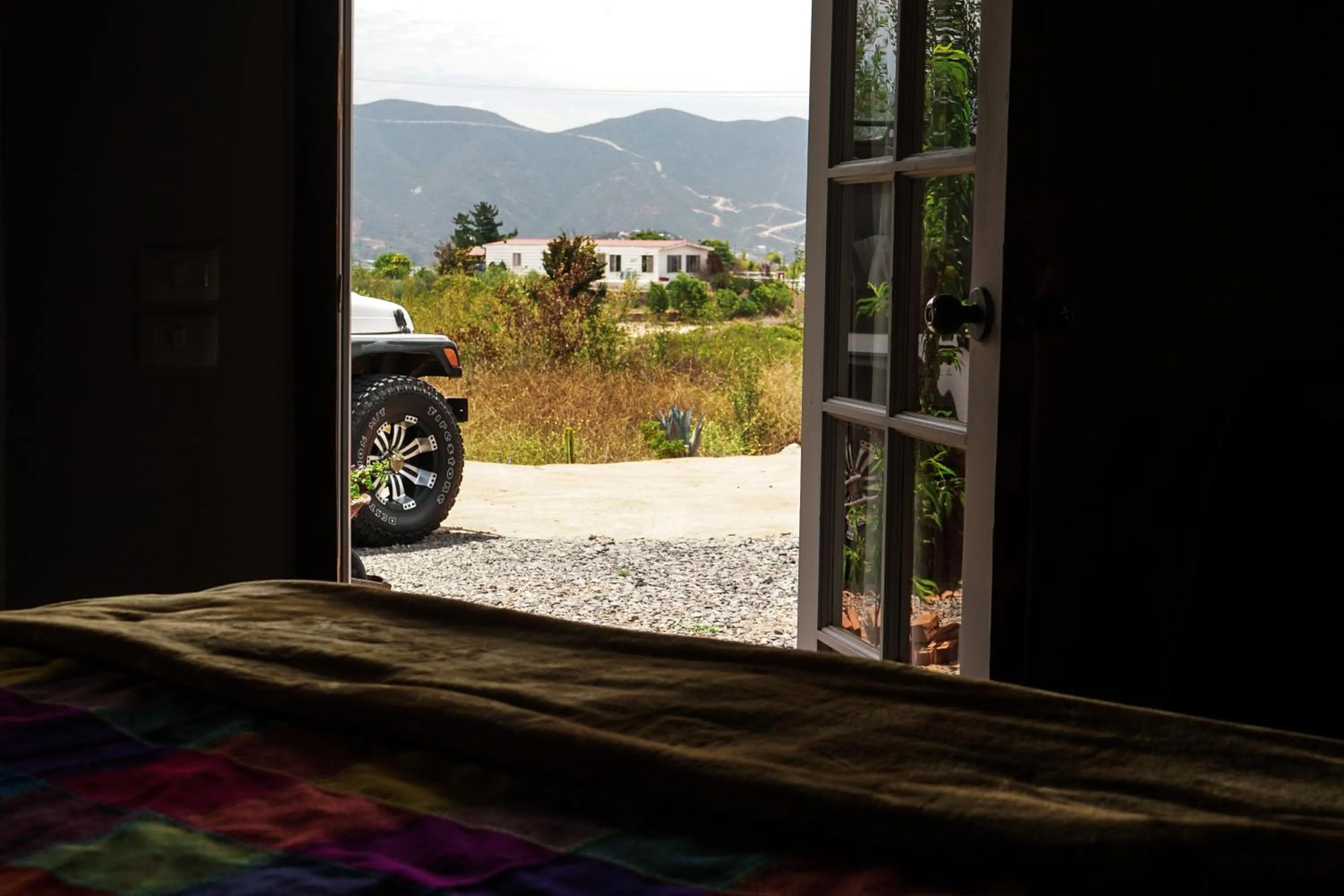 Garden view in Posada San Antonio
