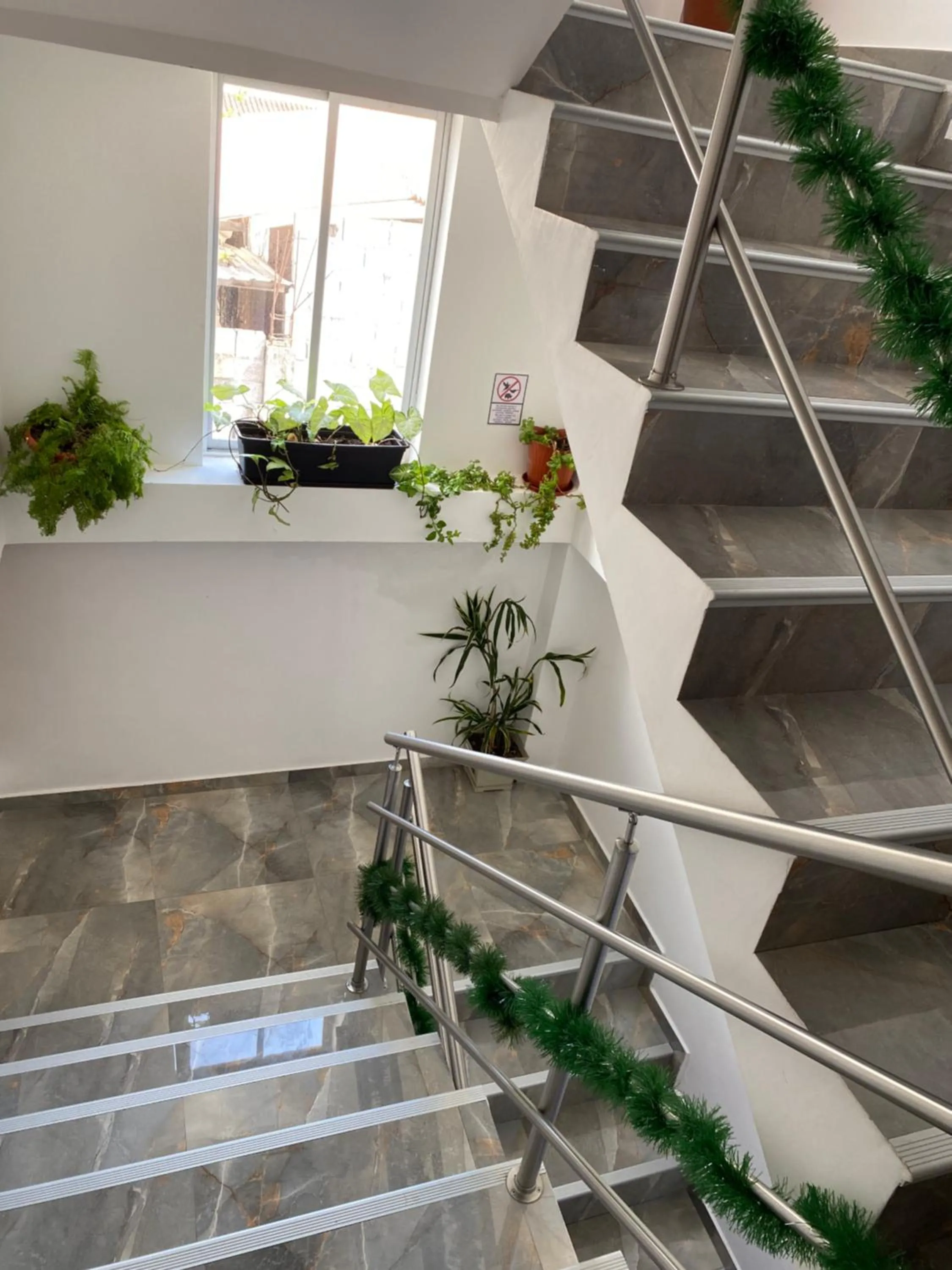 Property building in Patty House Galapagos