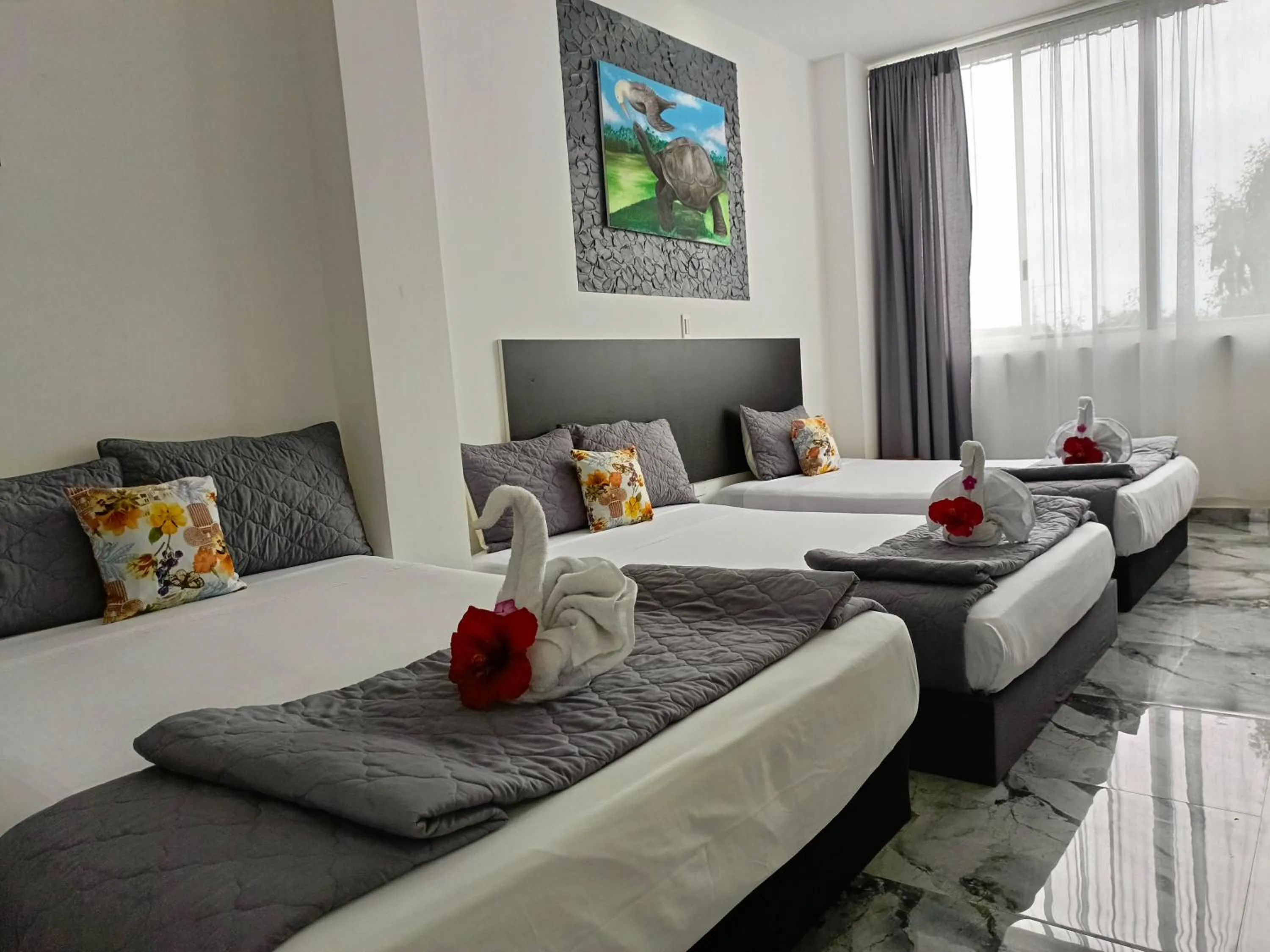 Bed in Patty House Galapagos