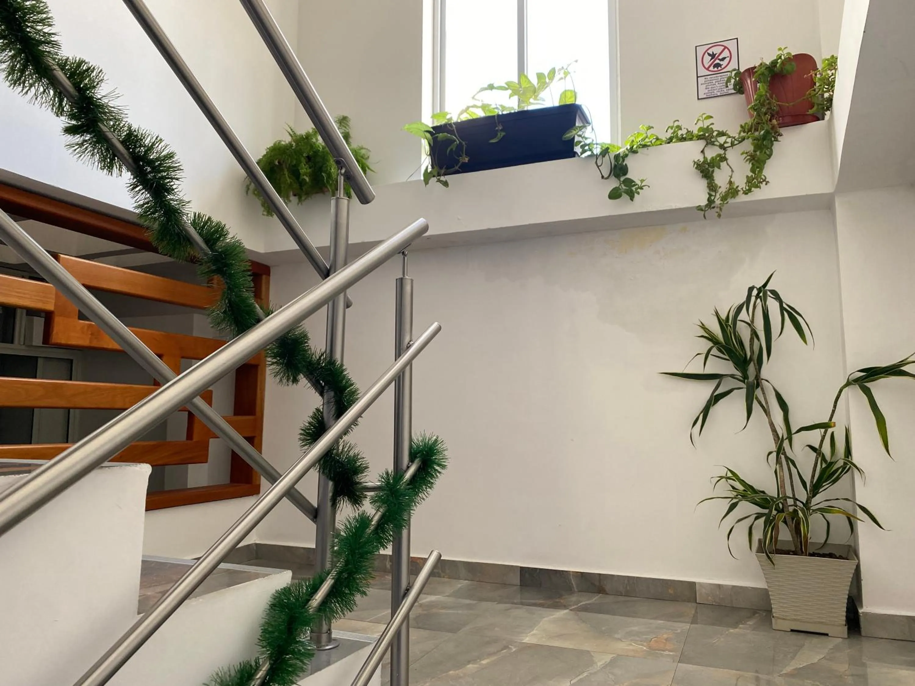 Property building in Patty House Galapagos