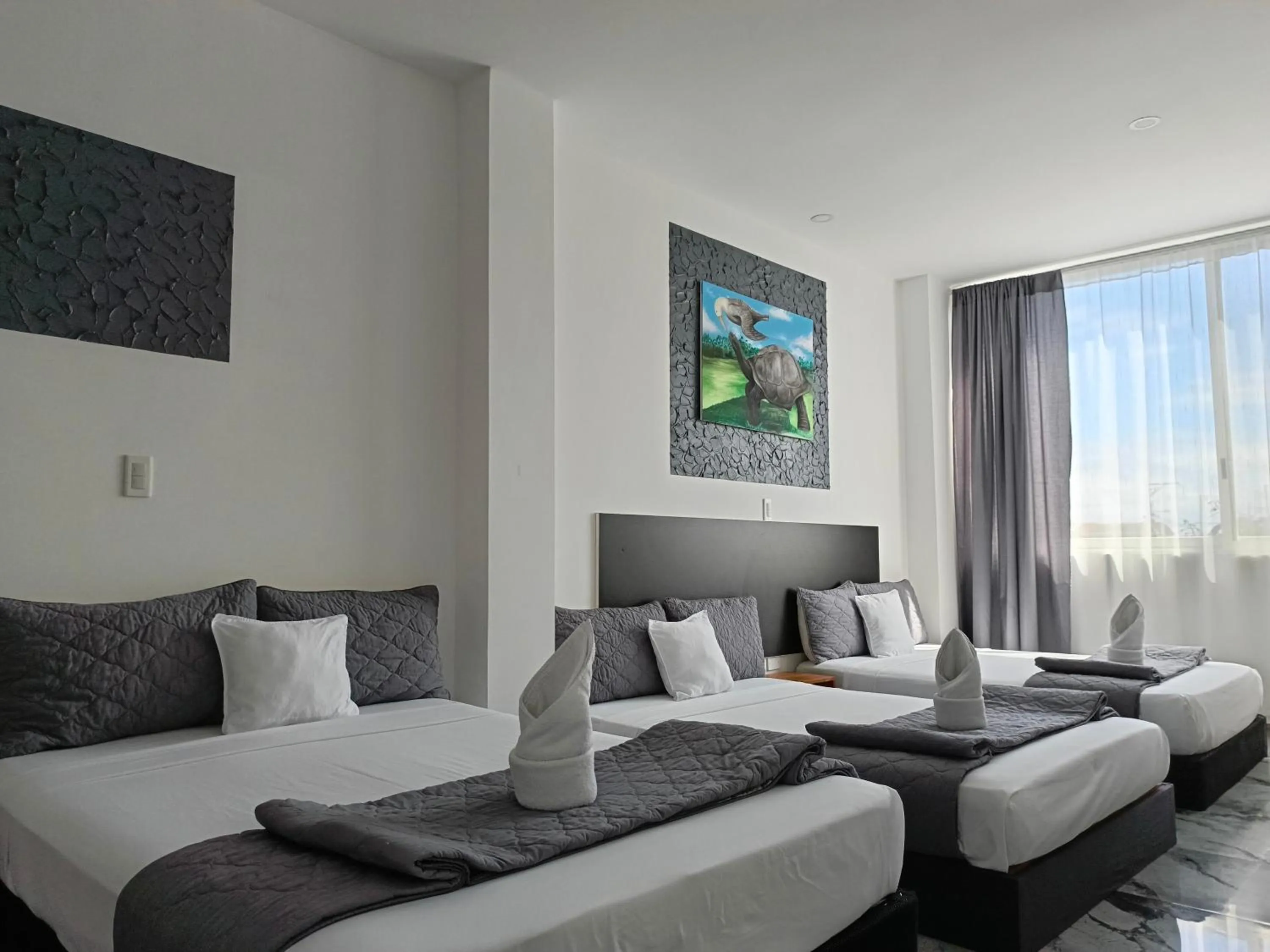 Bed in Patty House Galapagos