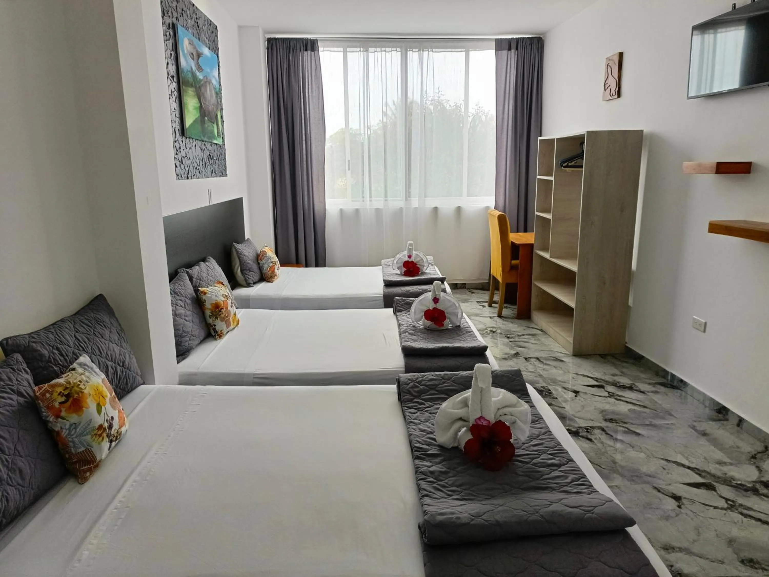 Bed in Patty House Galapagos