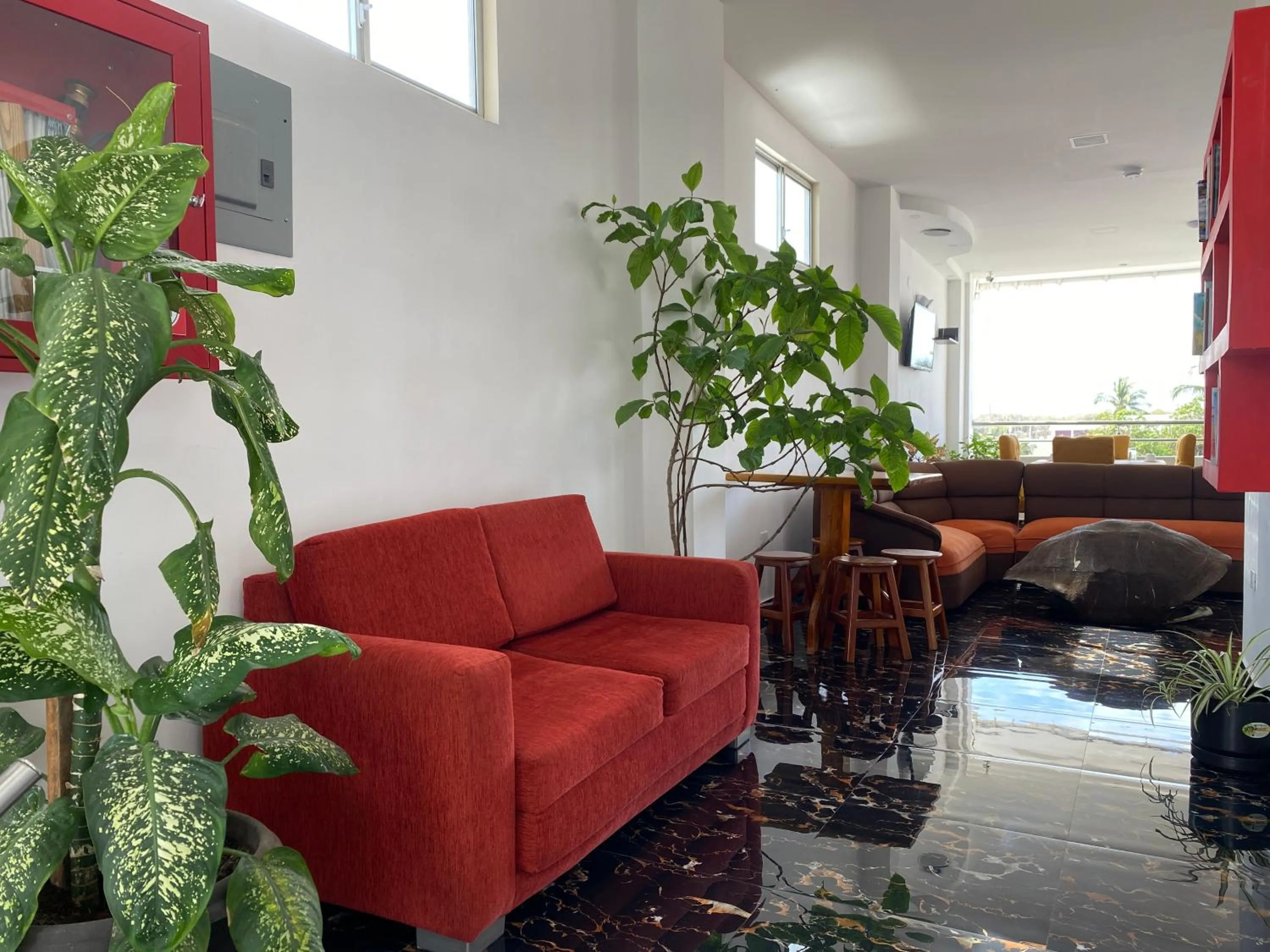 Communal lounge/ TV room in Patty House Galapagos