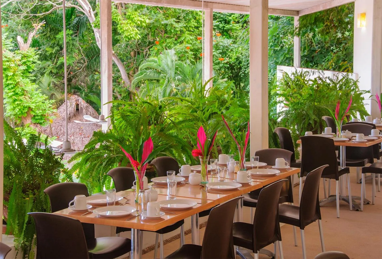 Restaurant/places to eat in Hotel Ixzi Plus