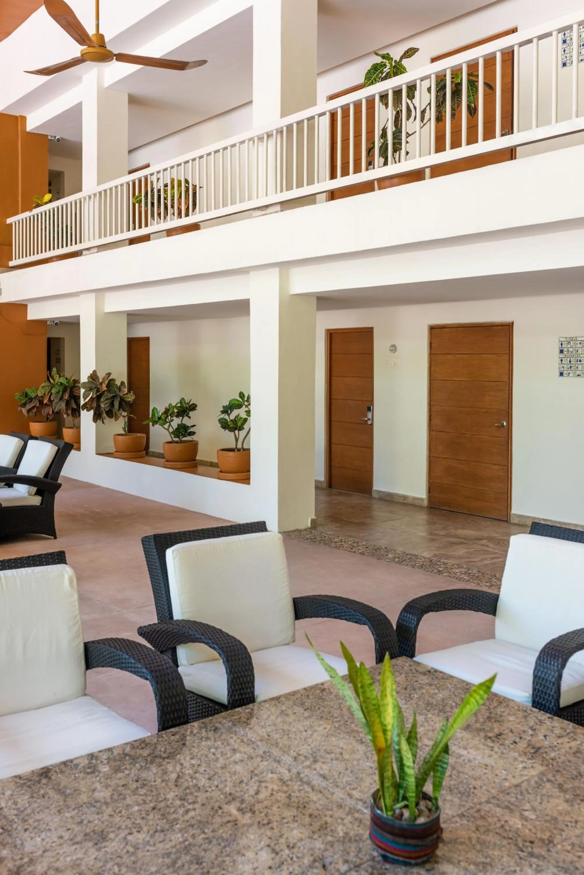 Patio in Hotel Ixzi Plus