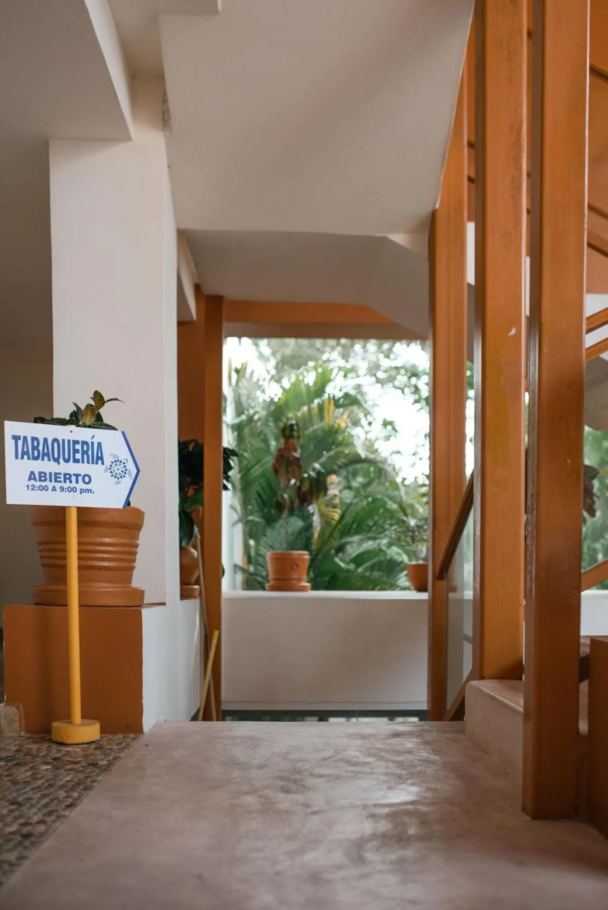 Property building in Hotel Ixzi Plus