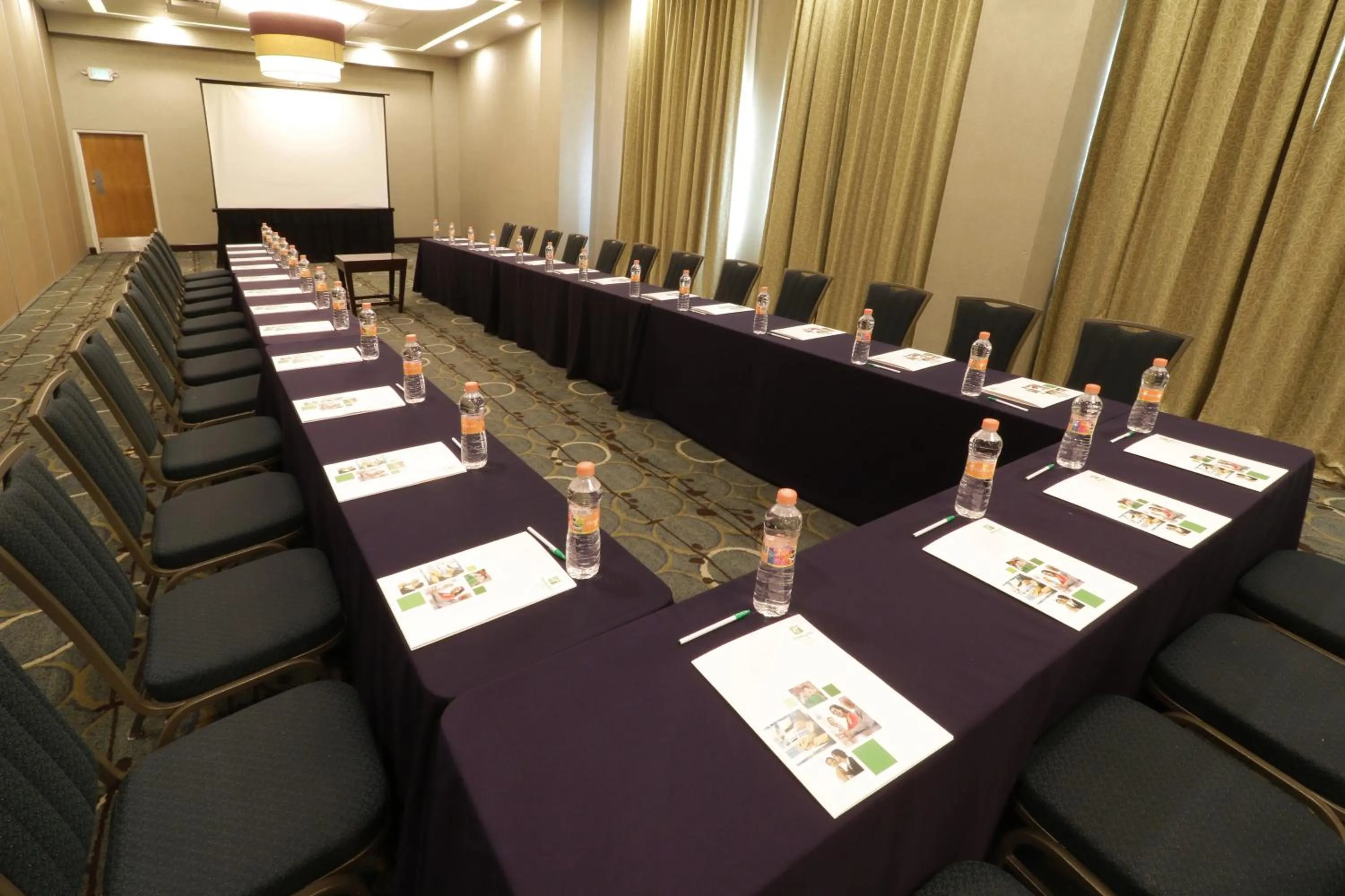 Meeting/conference room in Holiday Inn Hotel & Suites Hermosillo Aeropuerto by IHG
