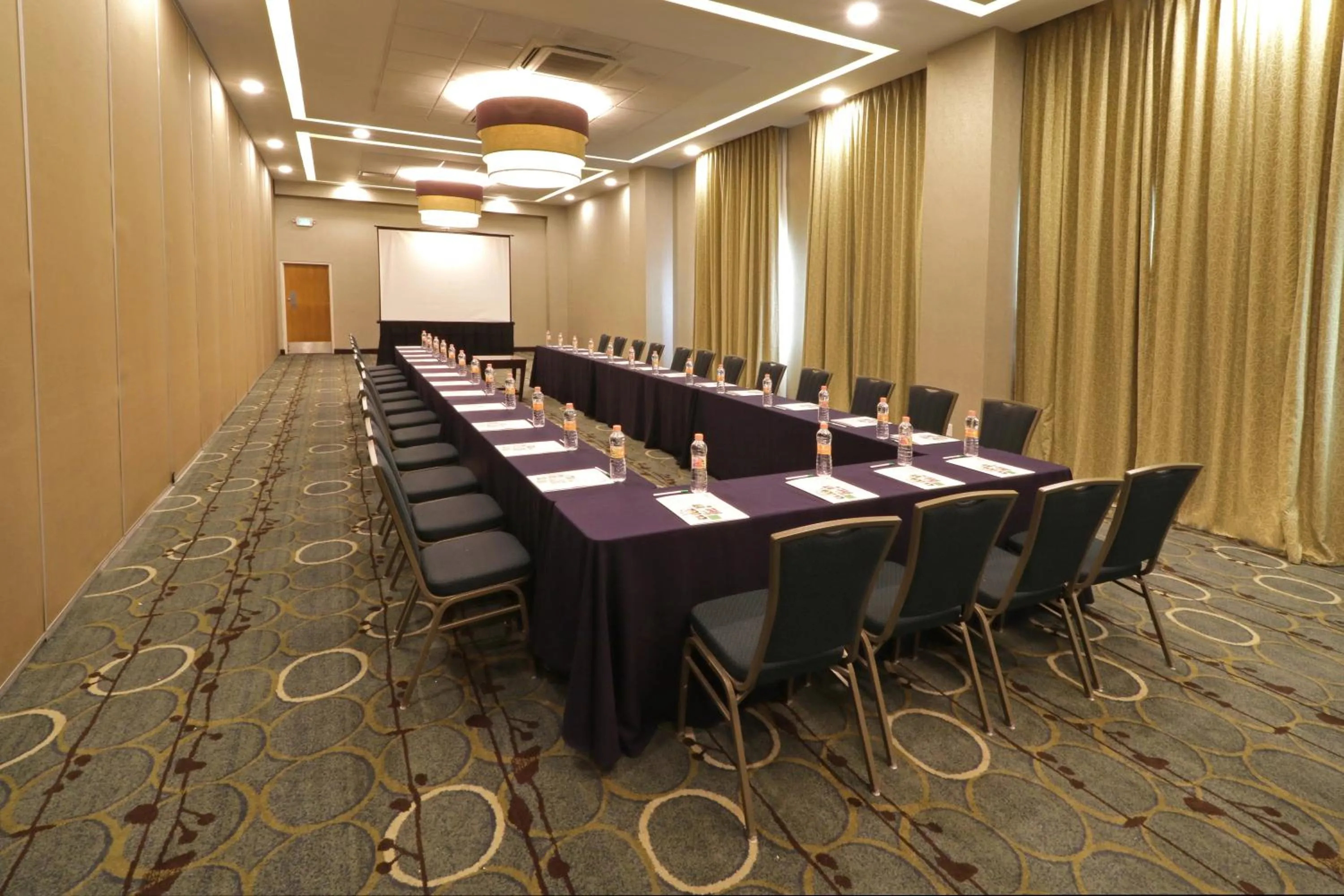 Meeting/conference room in Holiday Inn Hotel & Suites Hermosillo Aeropuerto by IHG
