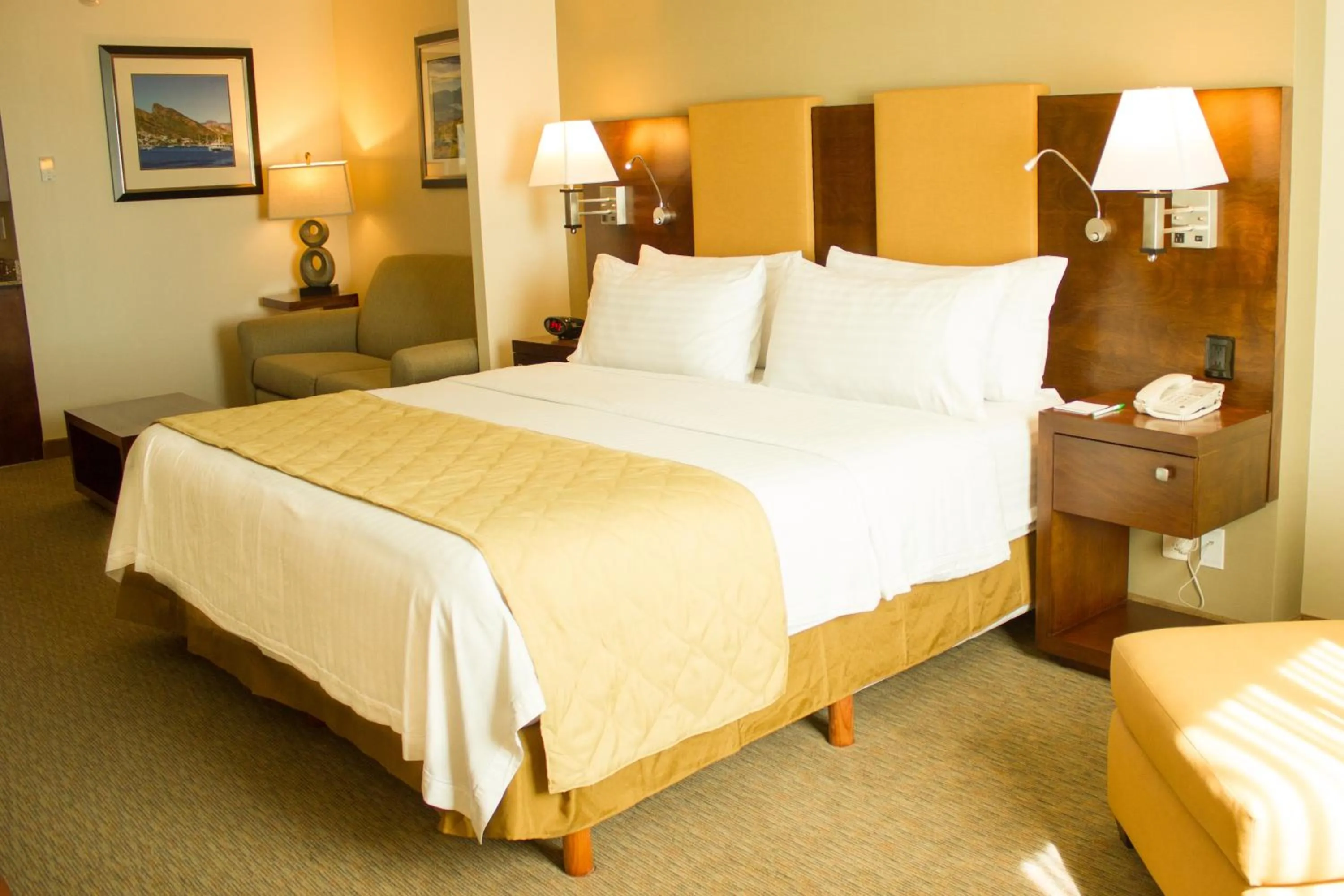 Living room, Bed in Holiday Inn Hotel & Suites Hermosillo Aeropuerto by IHG