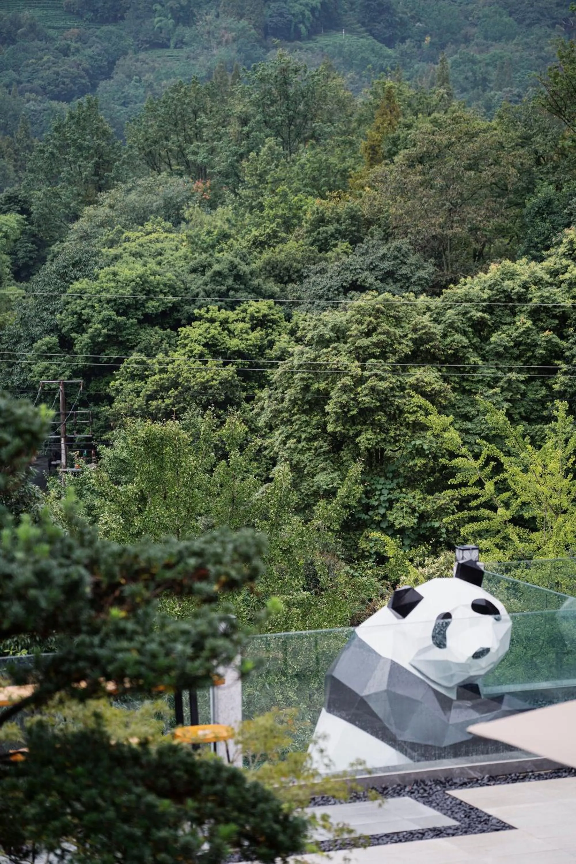 Garden in Z HOTEL- Qingchengshan