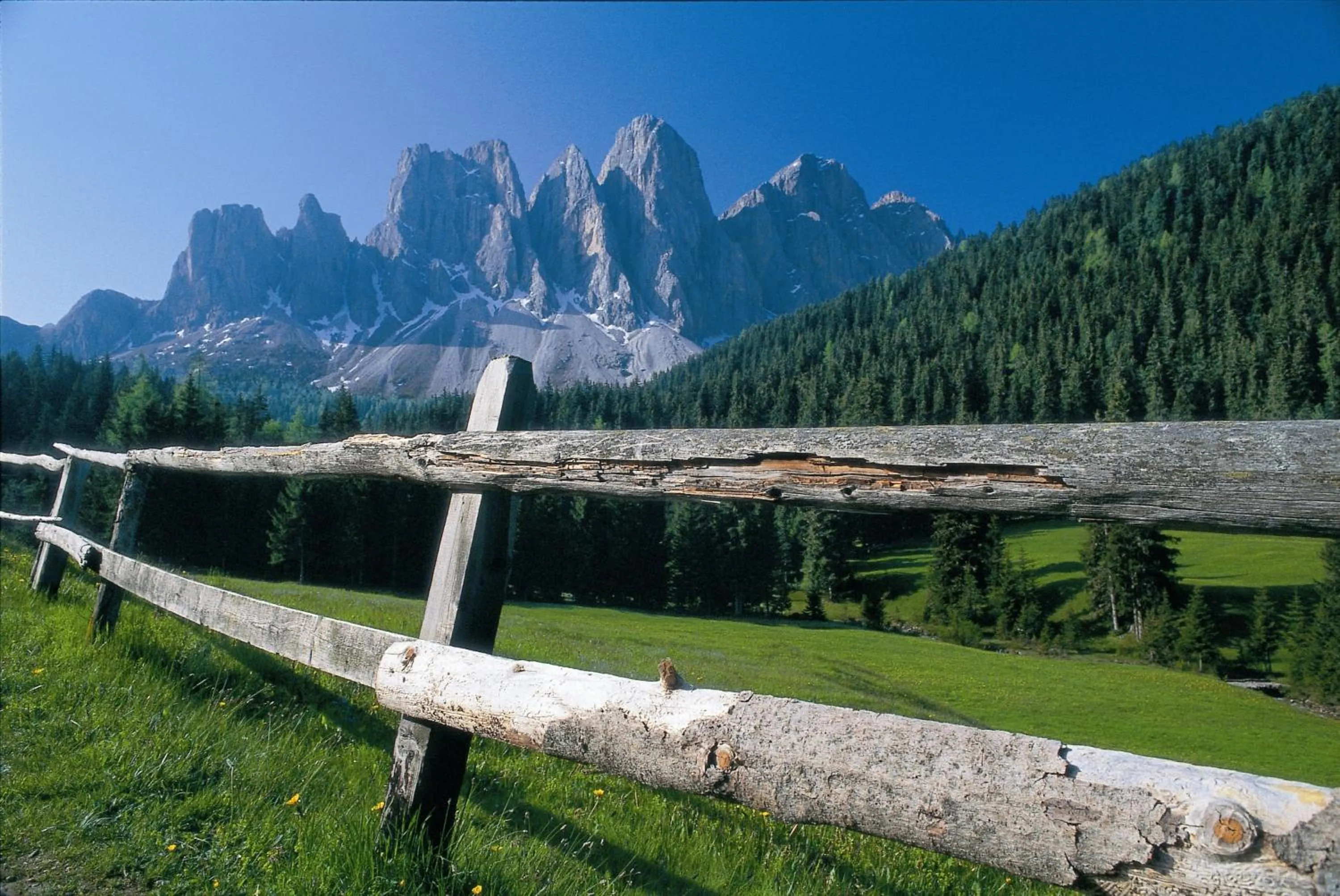 Summer in Falkensteiner Hotel Falkensteinerhof Superior