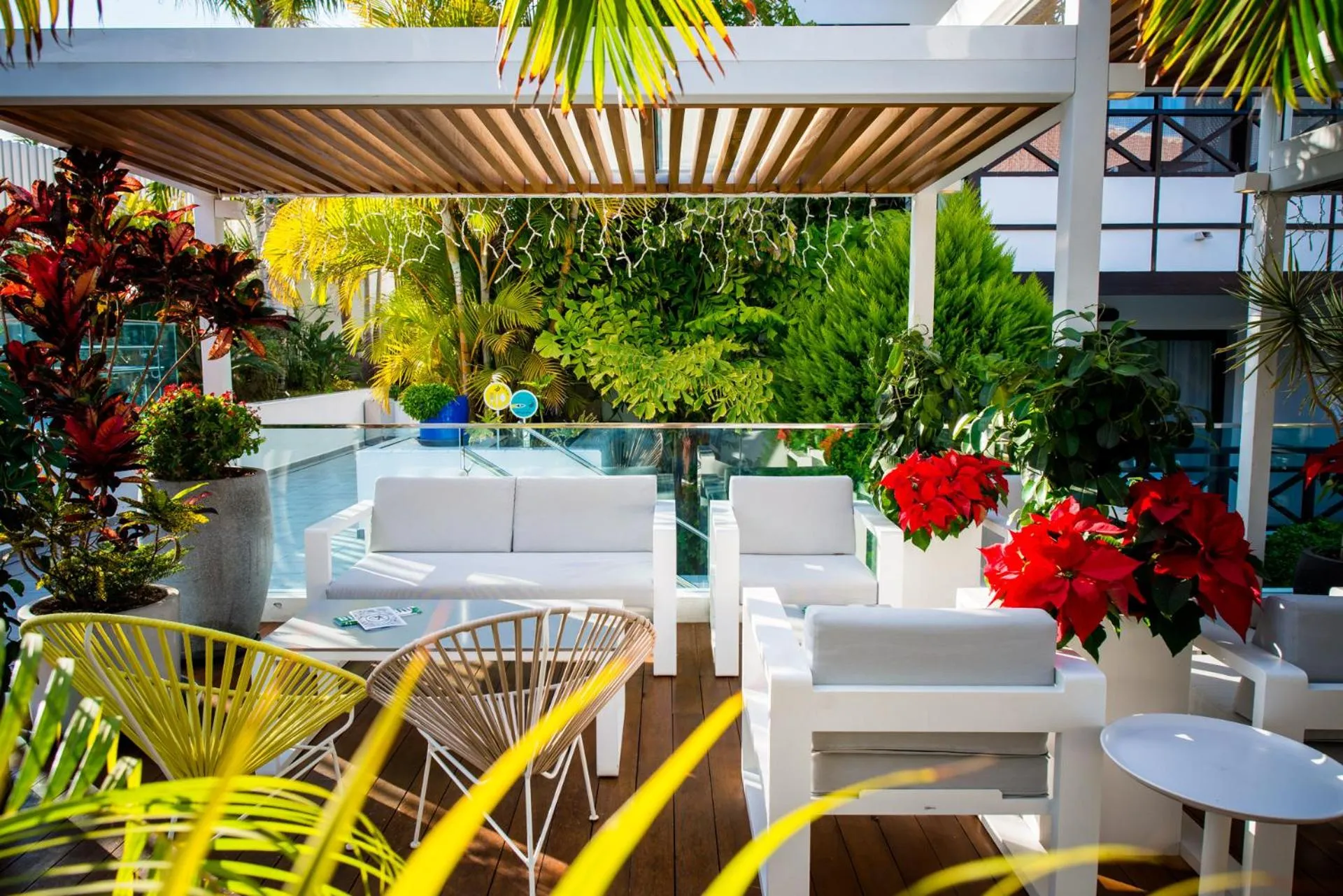 Balcony/Terrace in Vanilla Garden Boutique Hotel - Adults Only