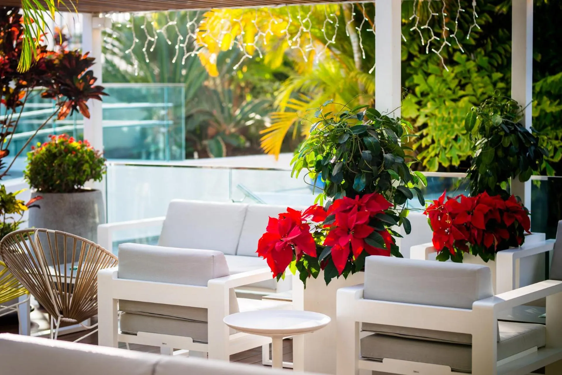 Lounge or bar in Vanilla Garden Boutique Hotel - Adults Only