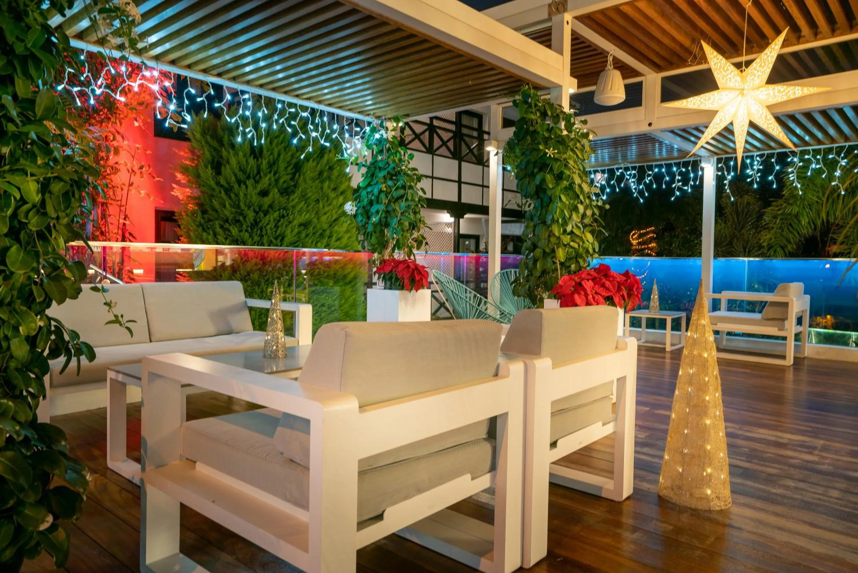 Lounge or bar in Vanilla Garden Boutique Hotel - Adults Only