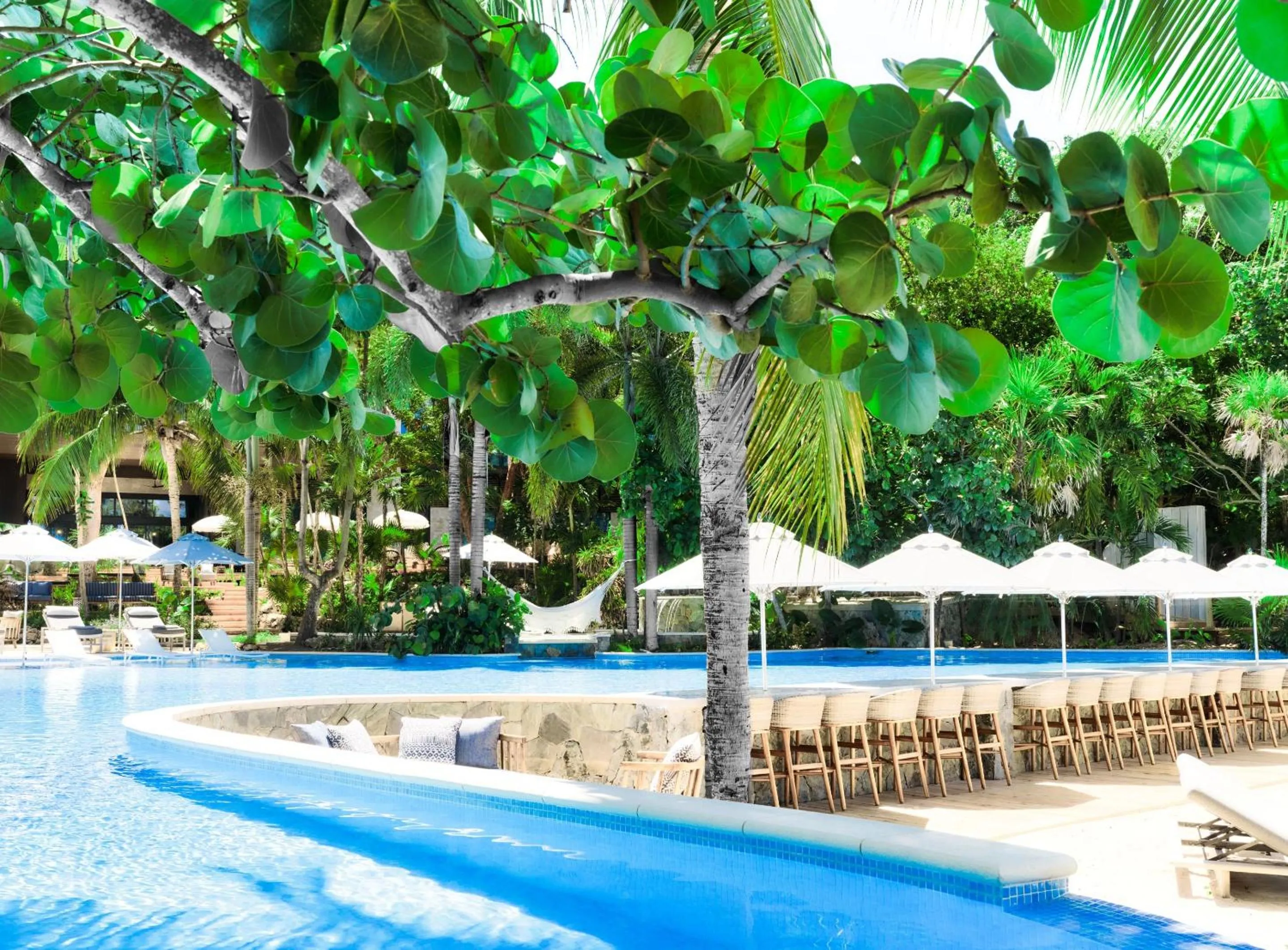Swimming pool in Kimpton - Grand Roatan Resort and Spa
