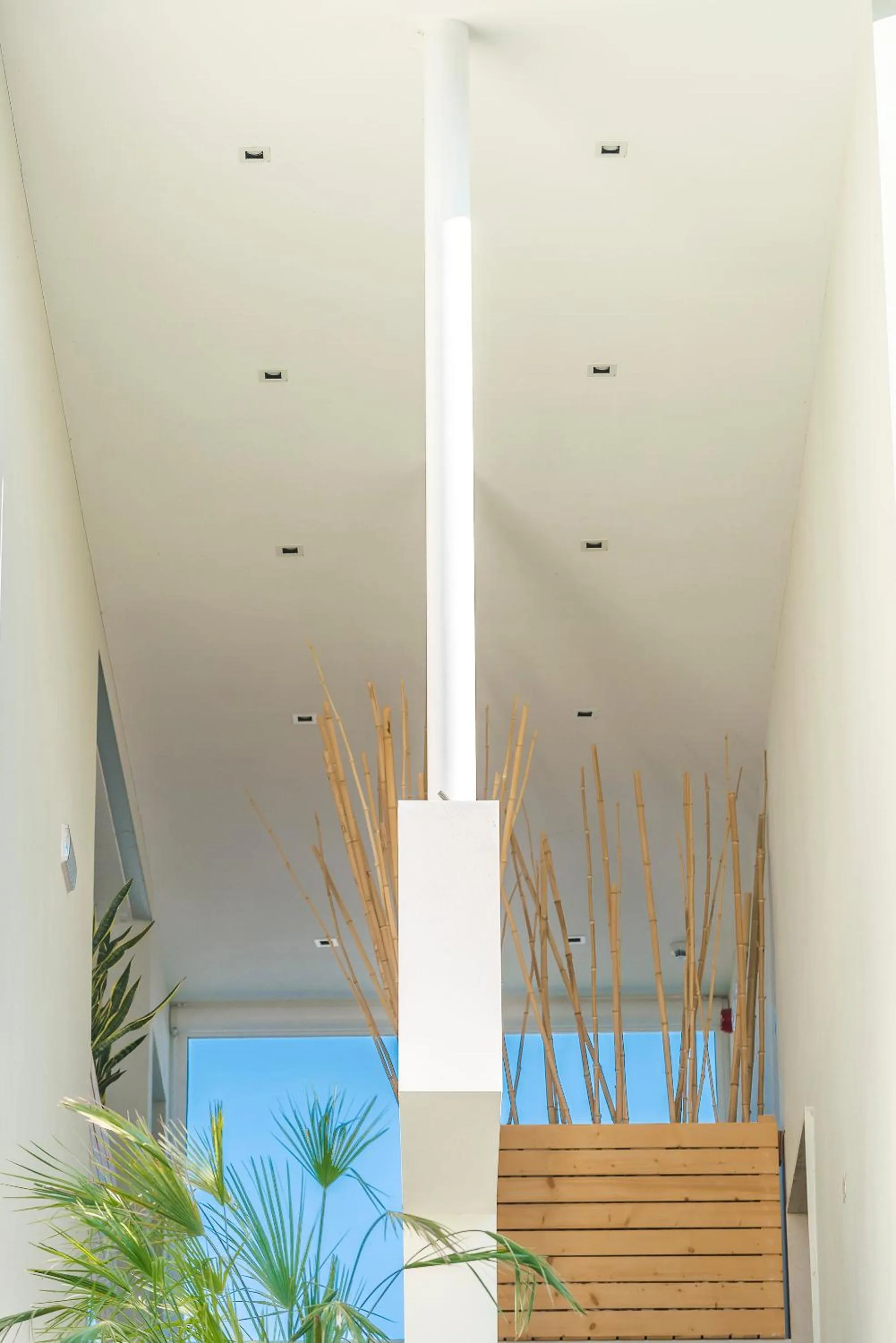 Other in Hotel Villa Katy