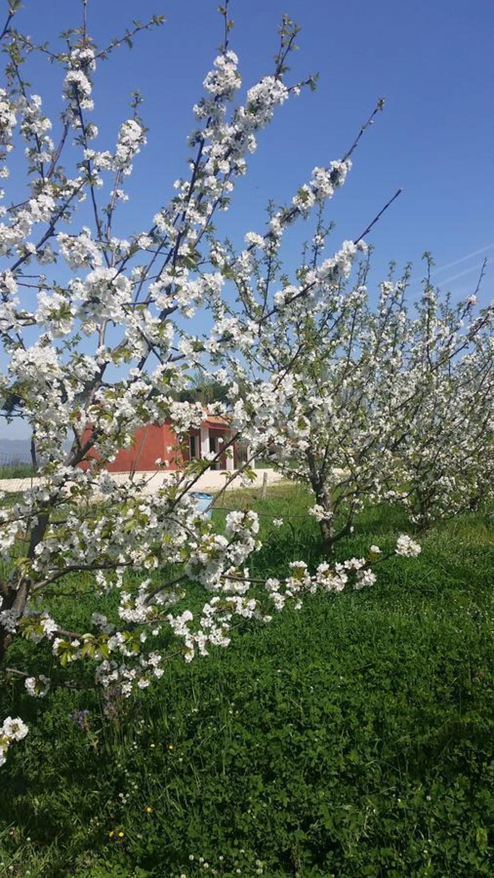 Day in Tenuta Terre dei Latini