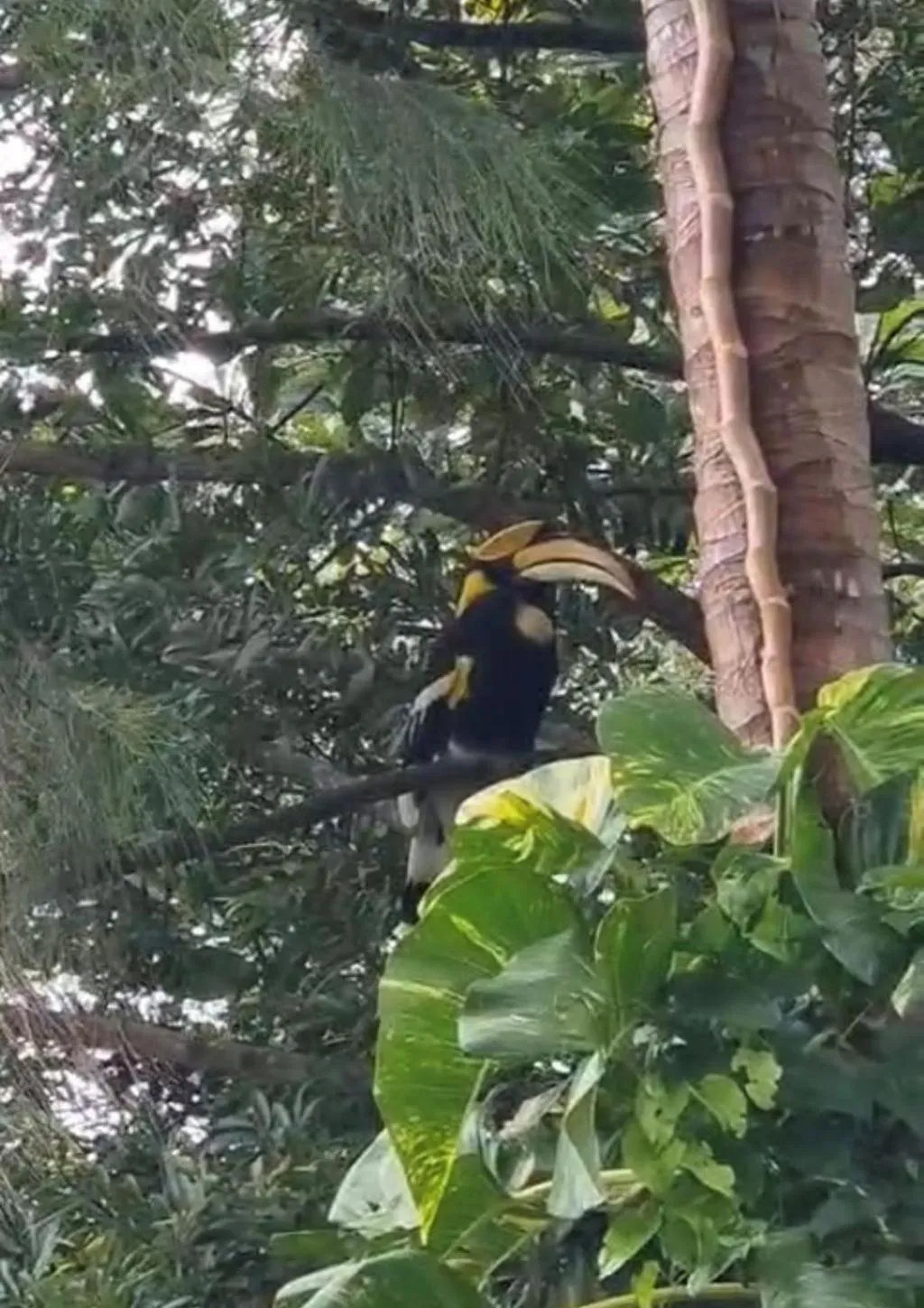 Day in Private Paradise Resort