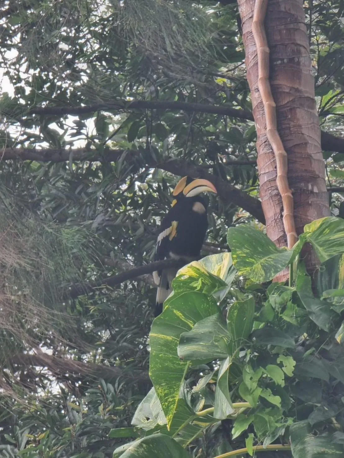 Natural landscape in Private Paradise Resort