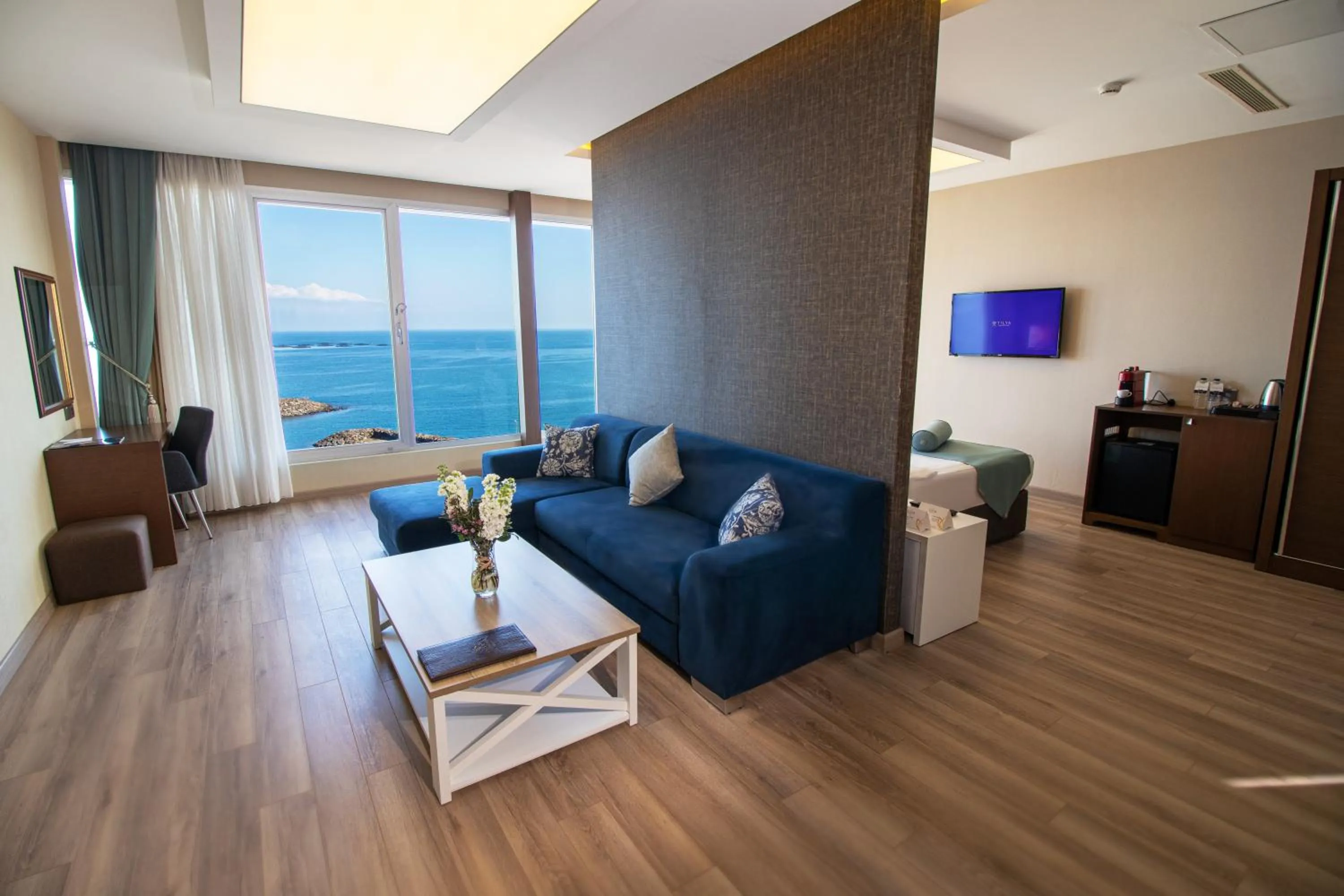 TV and multimedia in Tilya Resort Hotel