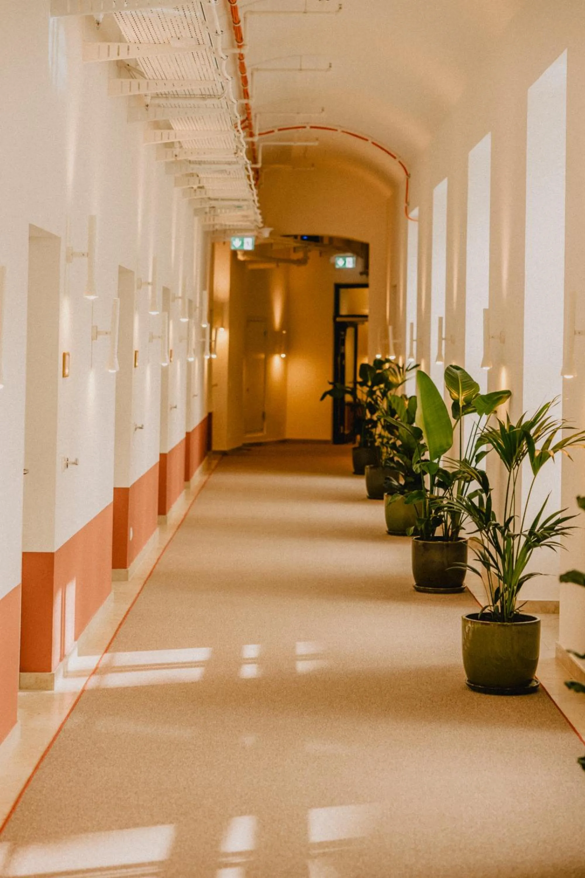 Property building in Wilde Vienna Fleischmarkt