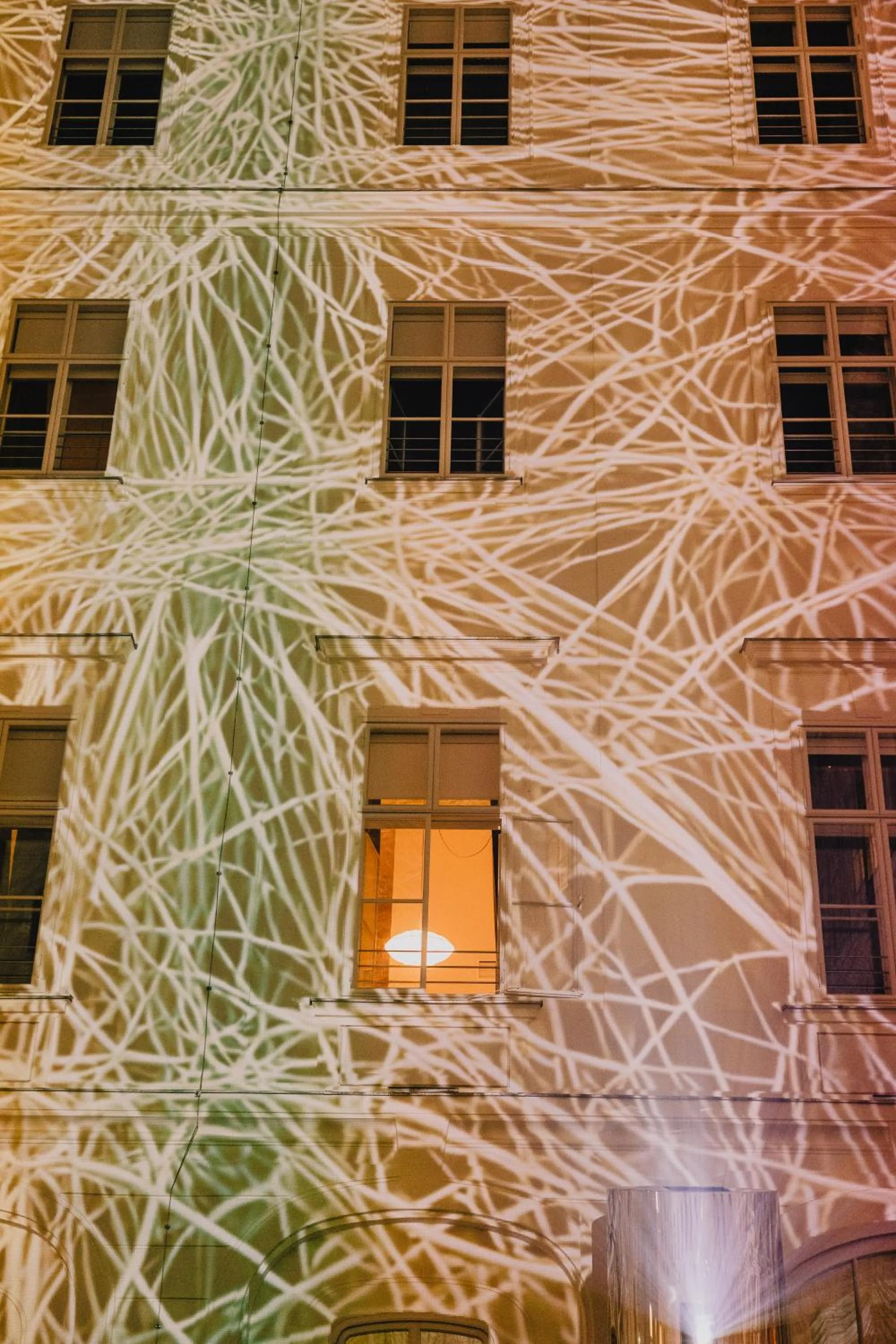 Night in Wilde Vienna Fleischmarkt