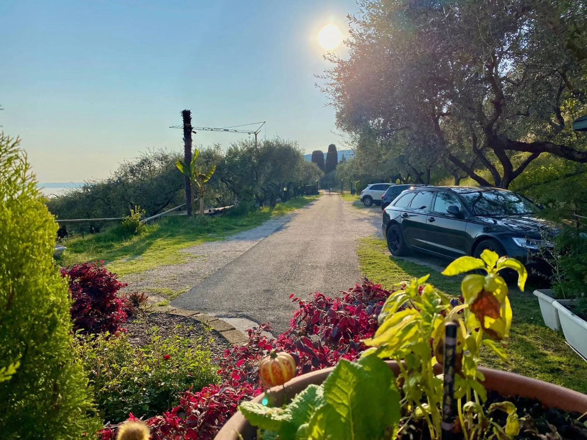 Parking in Relais Villa Olivi