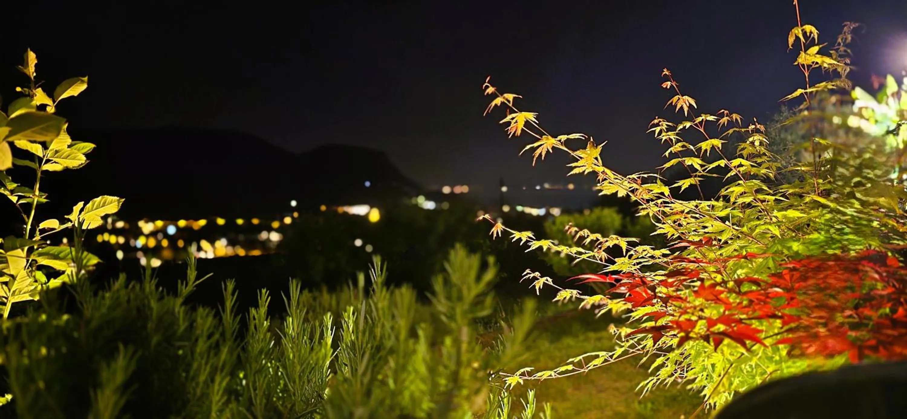 Garden in Relais Villa Olivi