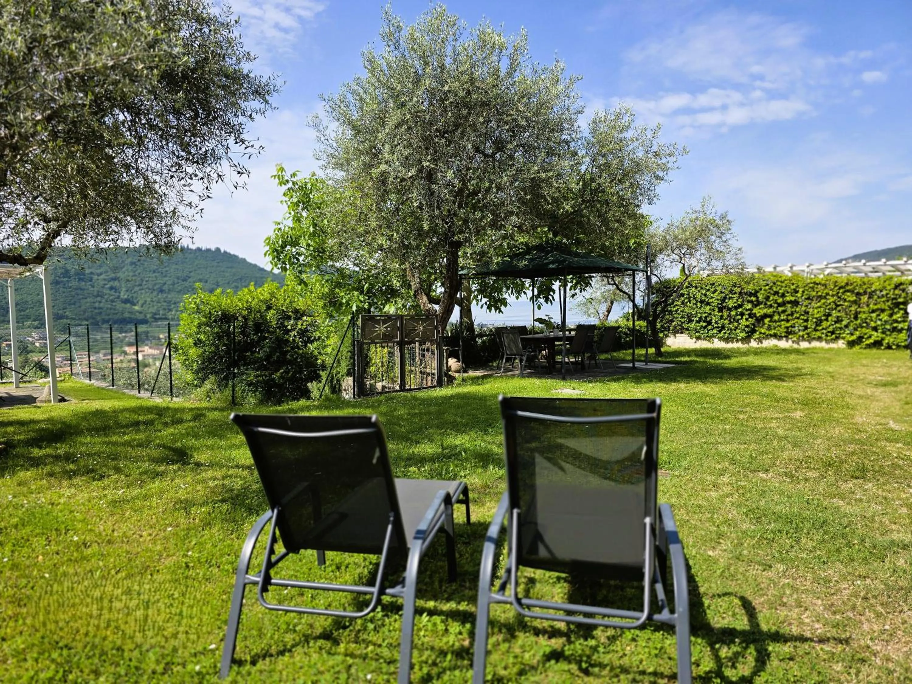 Garden in Relais Villa Olivi
