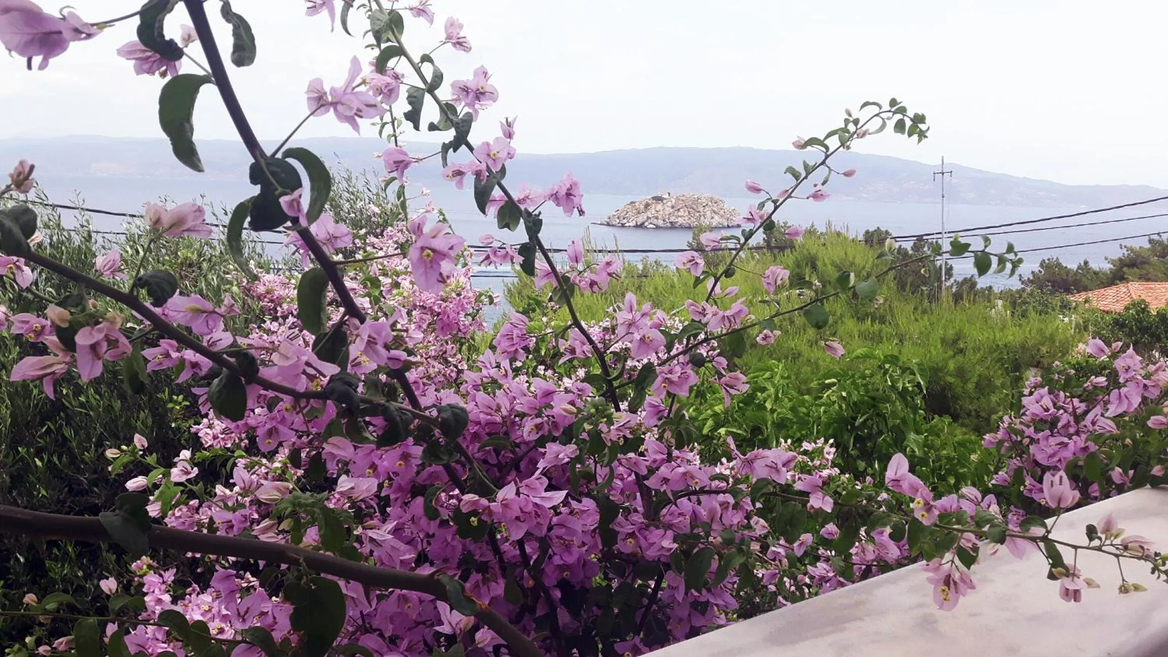 Sea view in Vlichos Studio Apartment